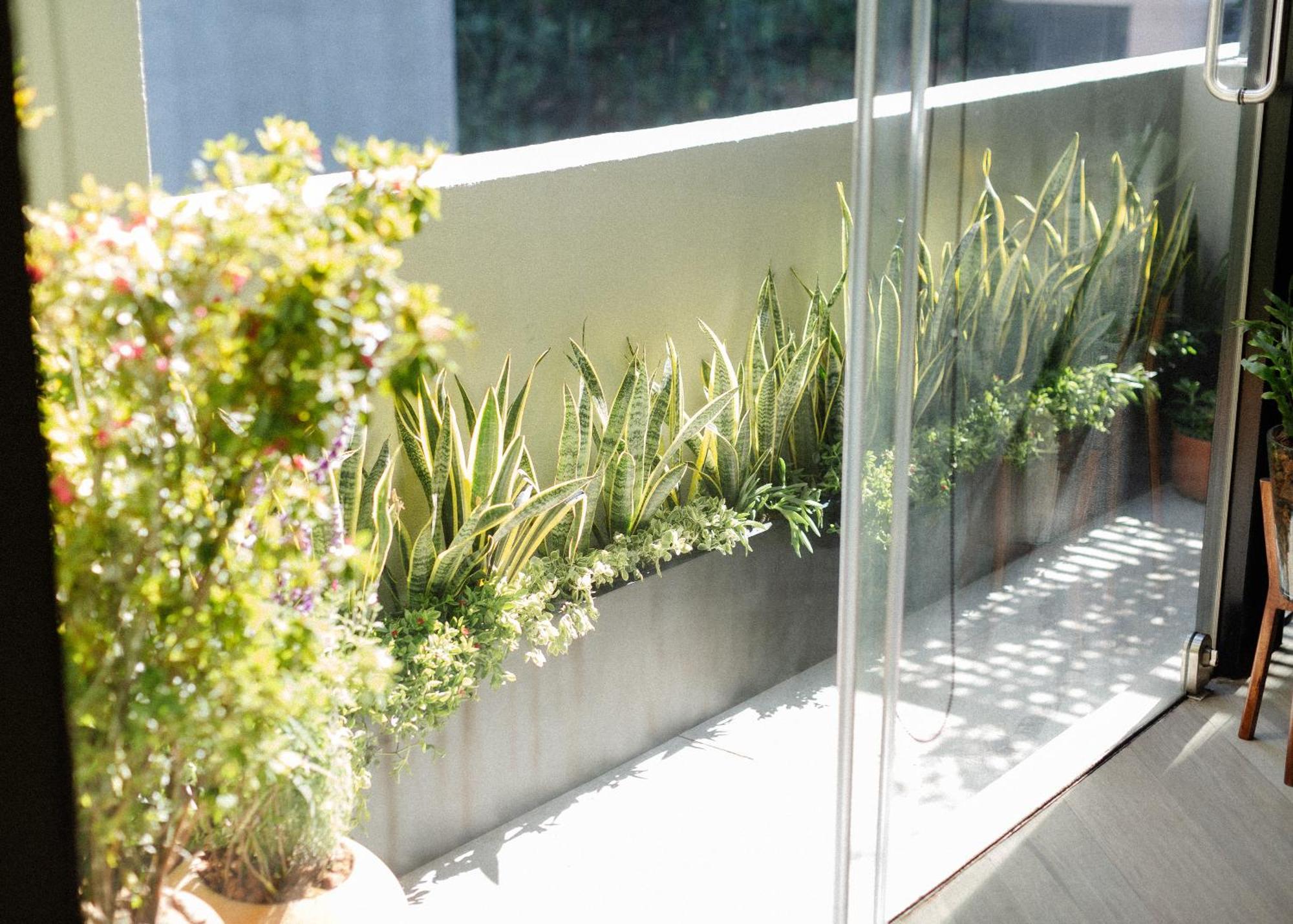 Elba By Mr W Apartment