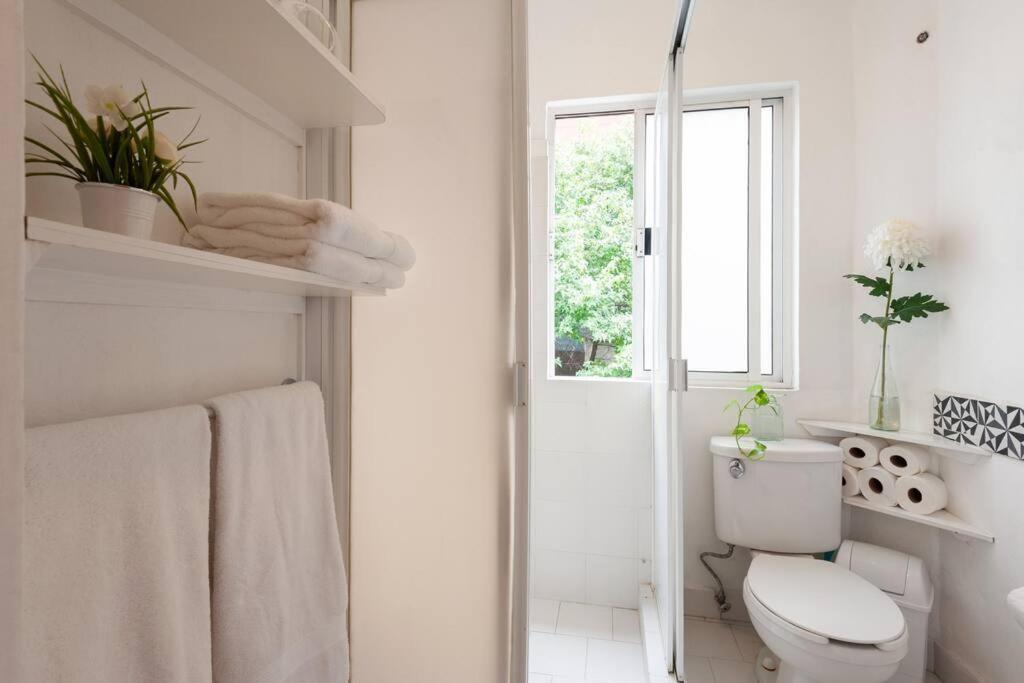 Hip Condesa Flat Apartment Mexico City