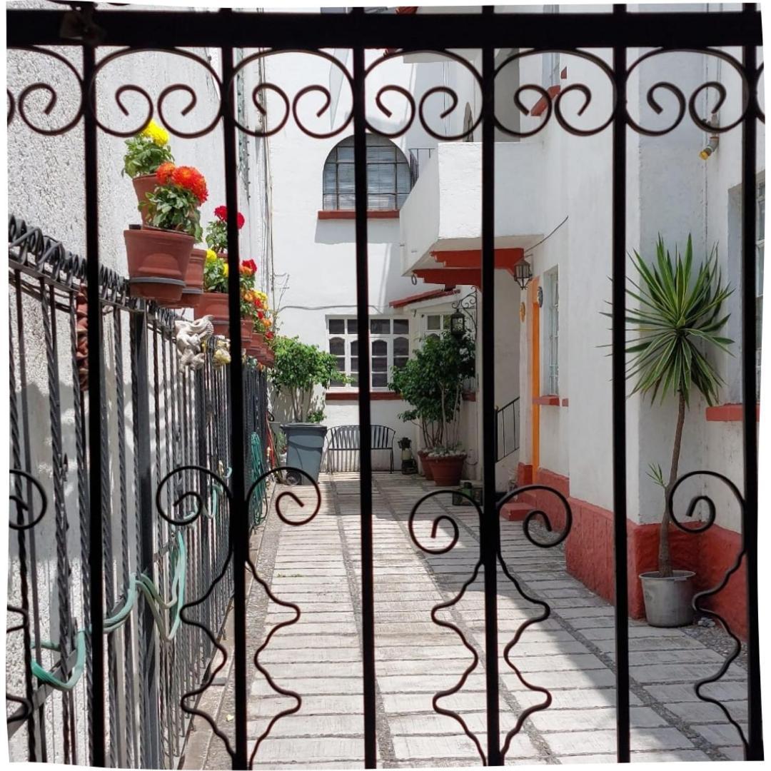 Calidez Y Tranquilidad Mexico City