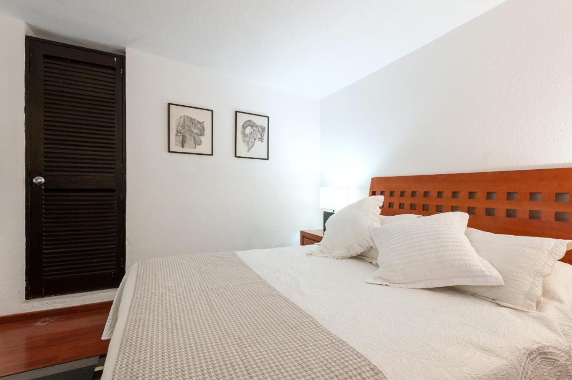 1-b El Rincon Garden House, Welcome To San Angel Apartment Mexico City