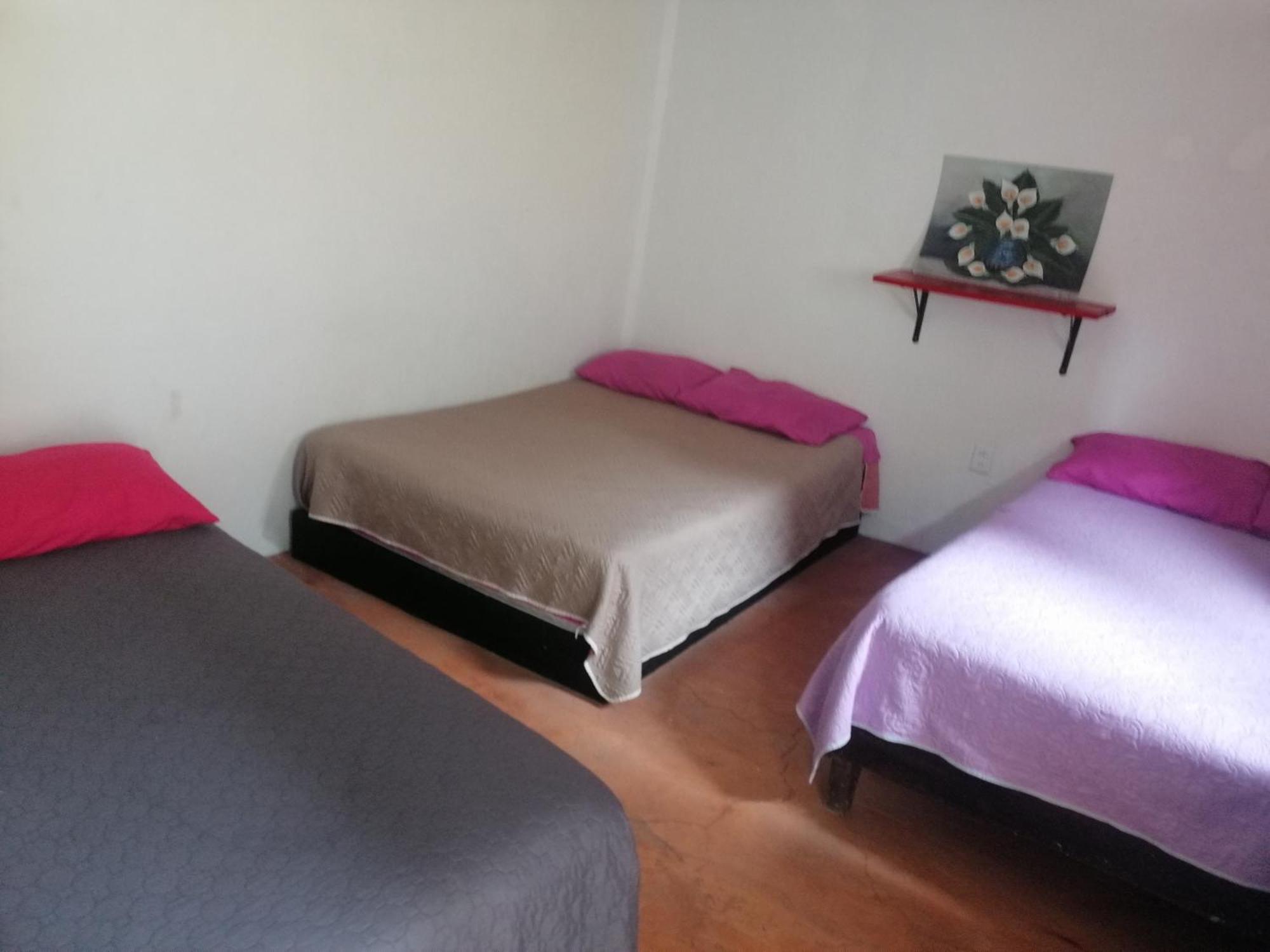 Casita Del Arbol Homestay Mexico City