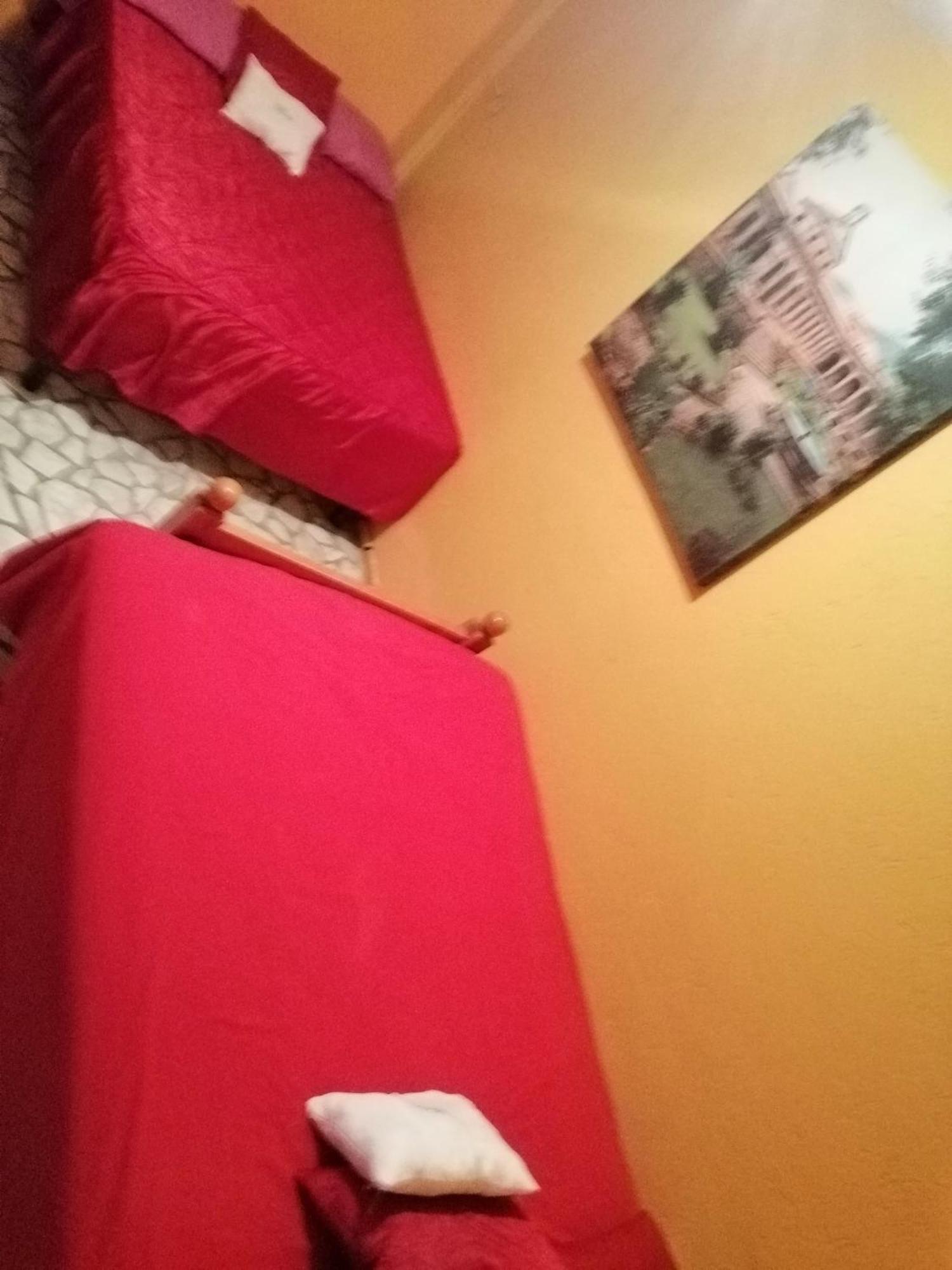 Casita Del Arbol
