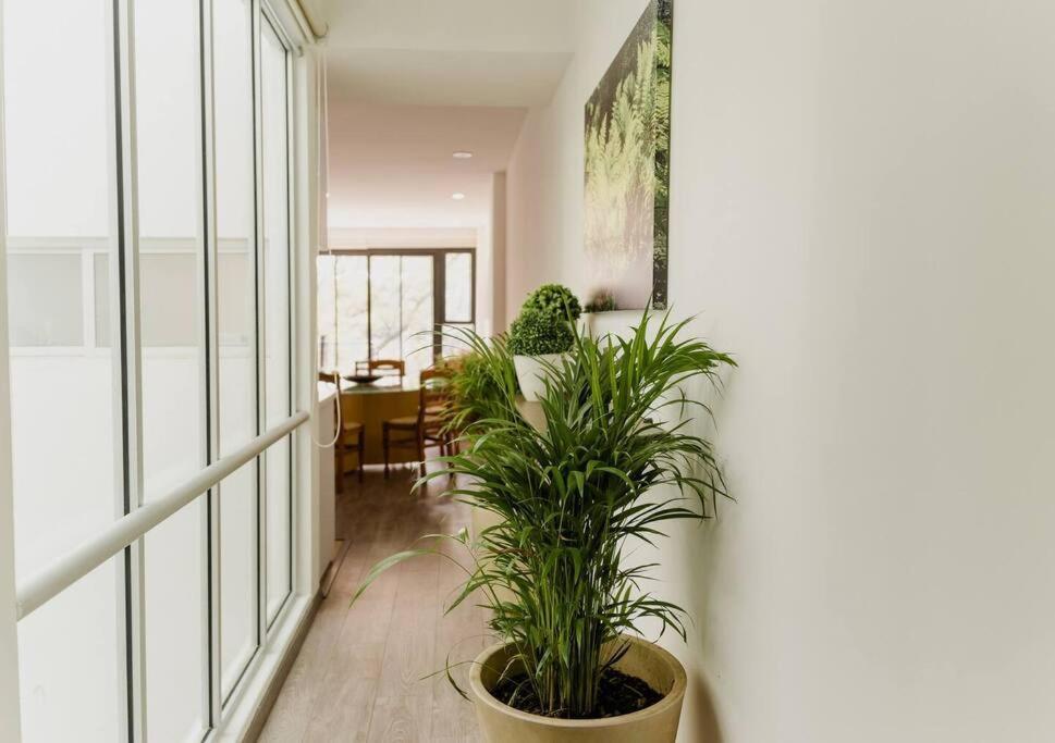 Tamaulipas 2br By Lomah Apartment *