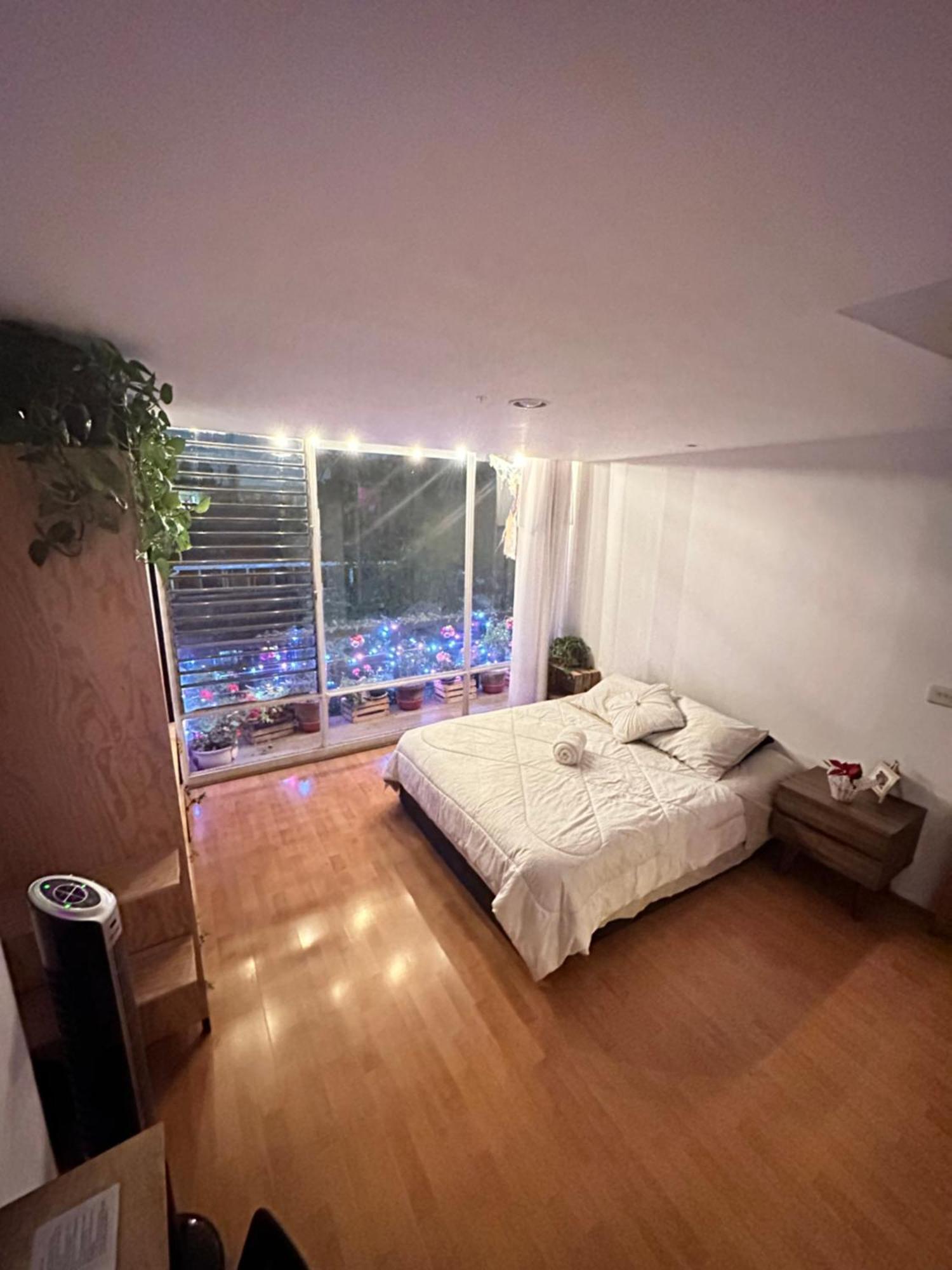 Lovely In Roma Norte * Mexico City