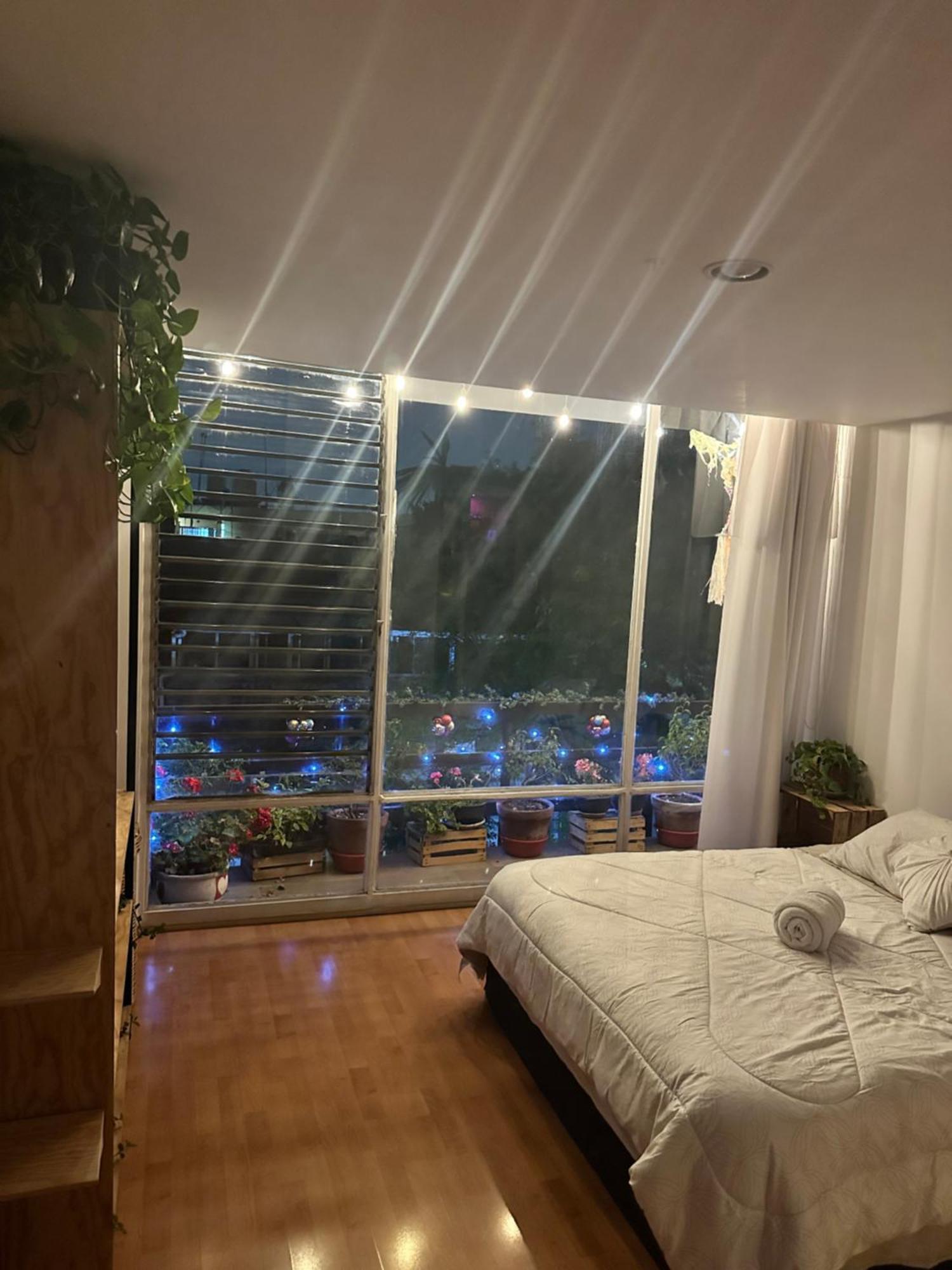 Homestay Lovely In Roma Norte Mexico City