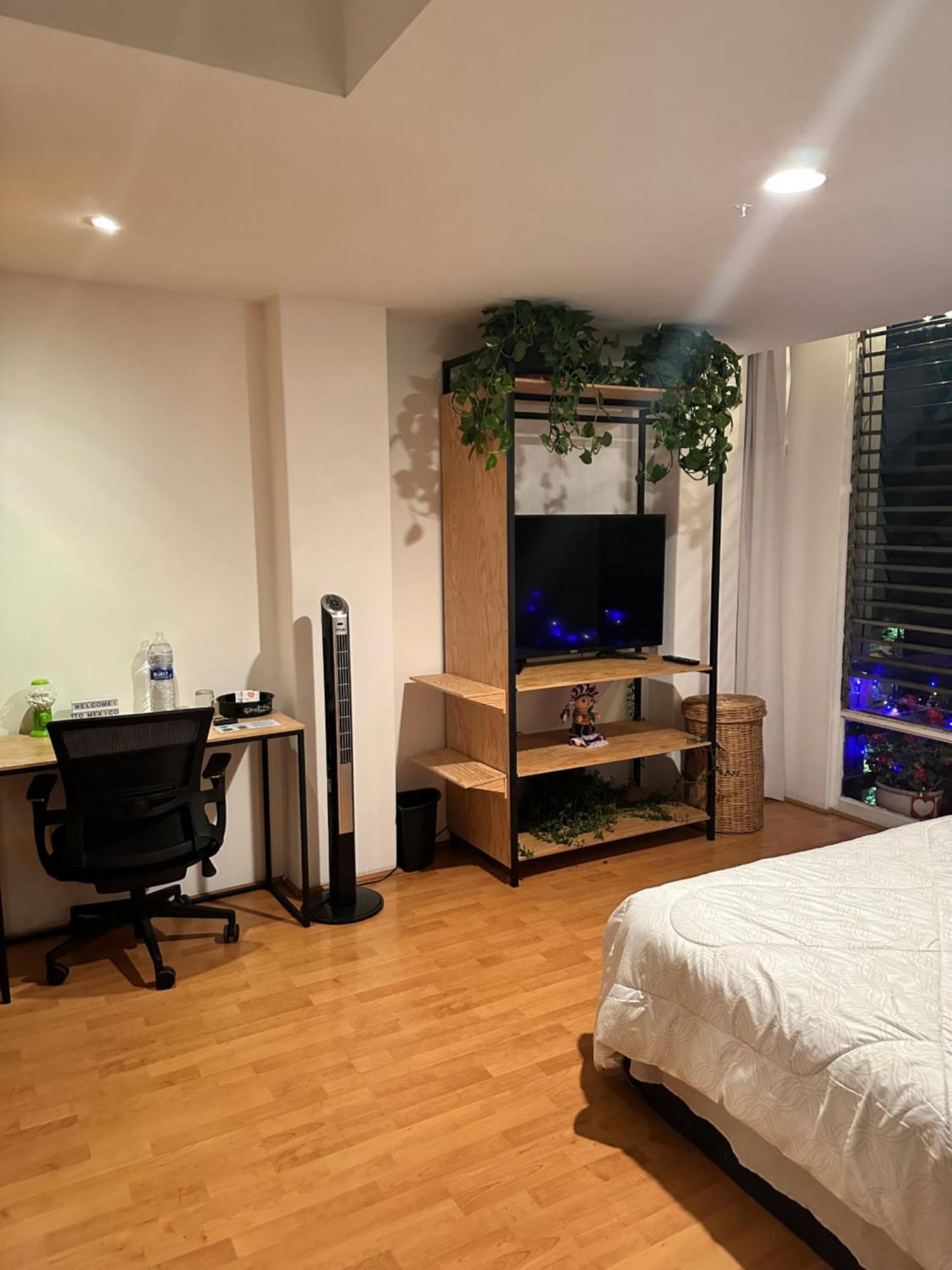 Lovely In Roma Norte Homestay