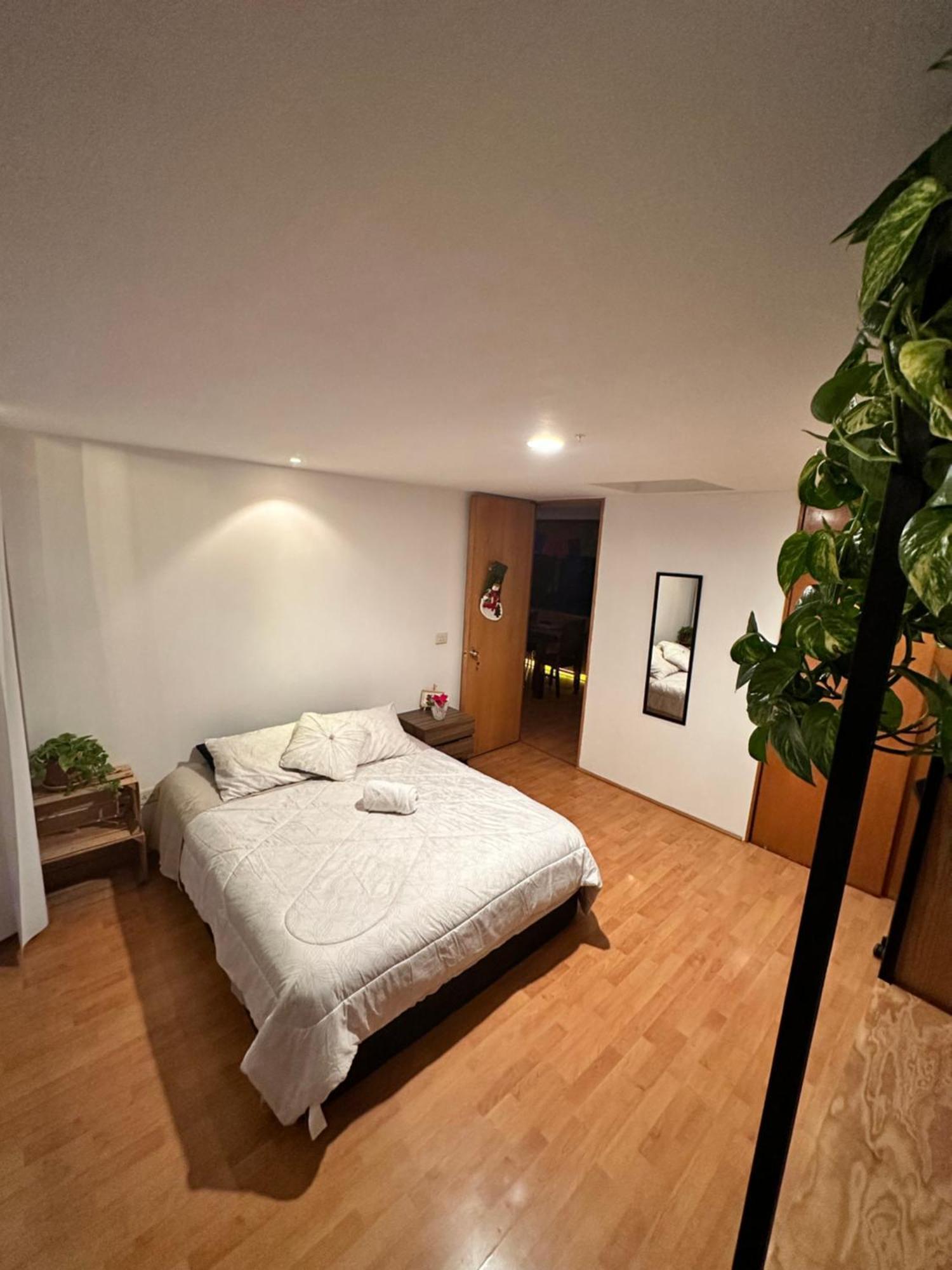 Homestay Lovely In Roma Norte Mexico City