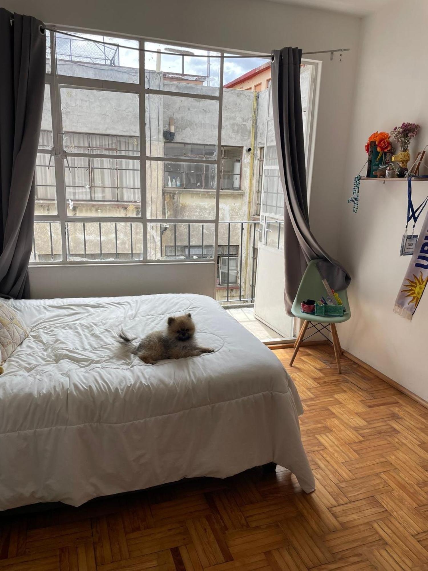 Homestay Tranquilo En Zona Familiar
