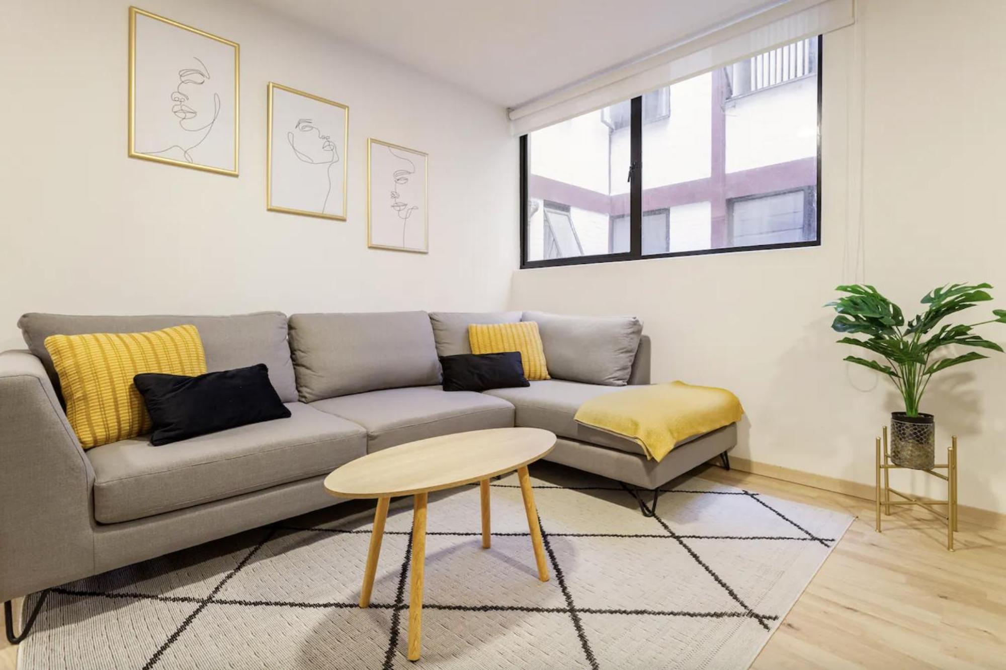 Private With Shared Bathroom In Roma Norte, Homestay