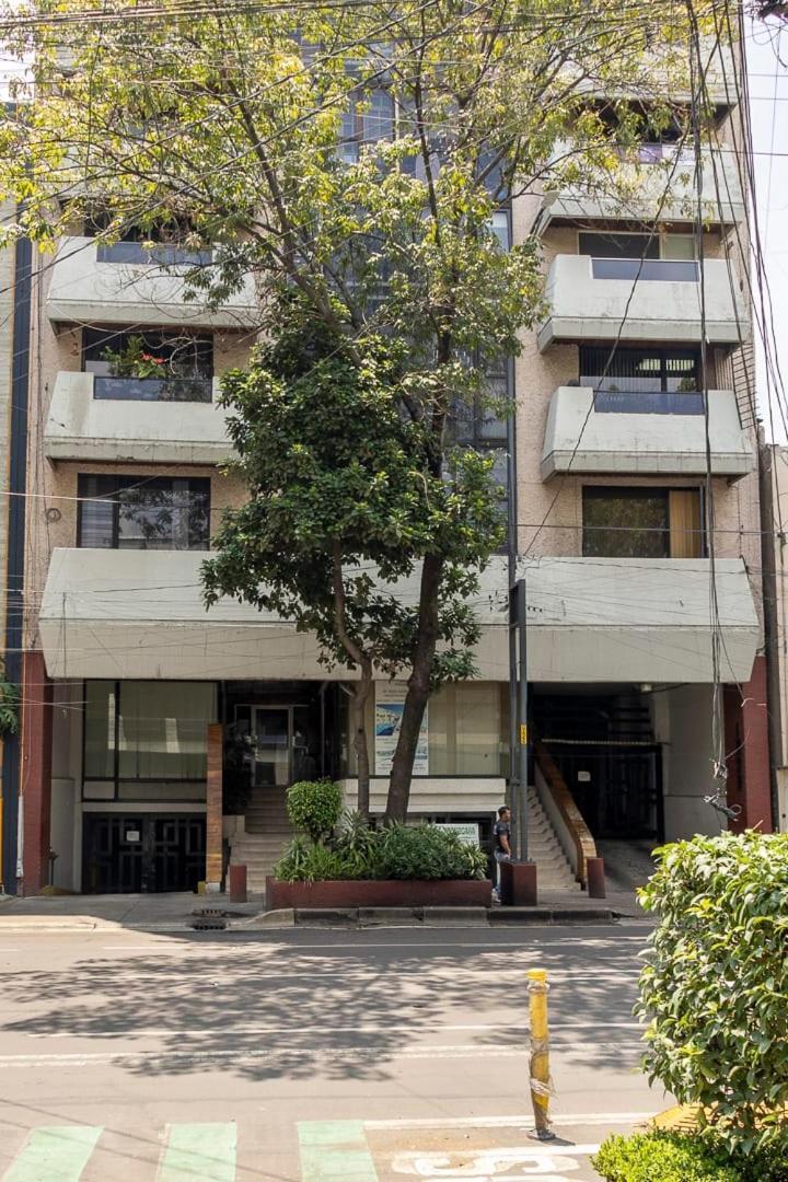 Apartment Cozy In Del Valle Great Location Near Wtc