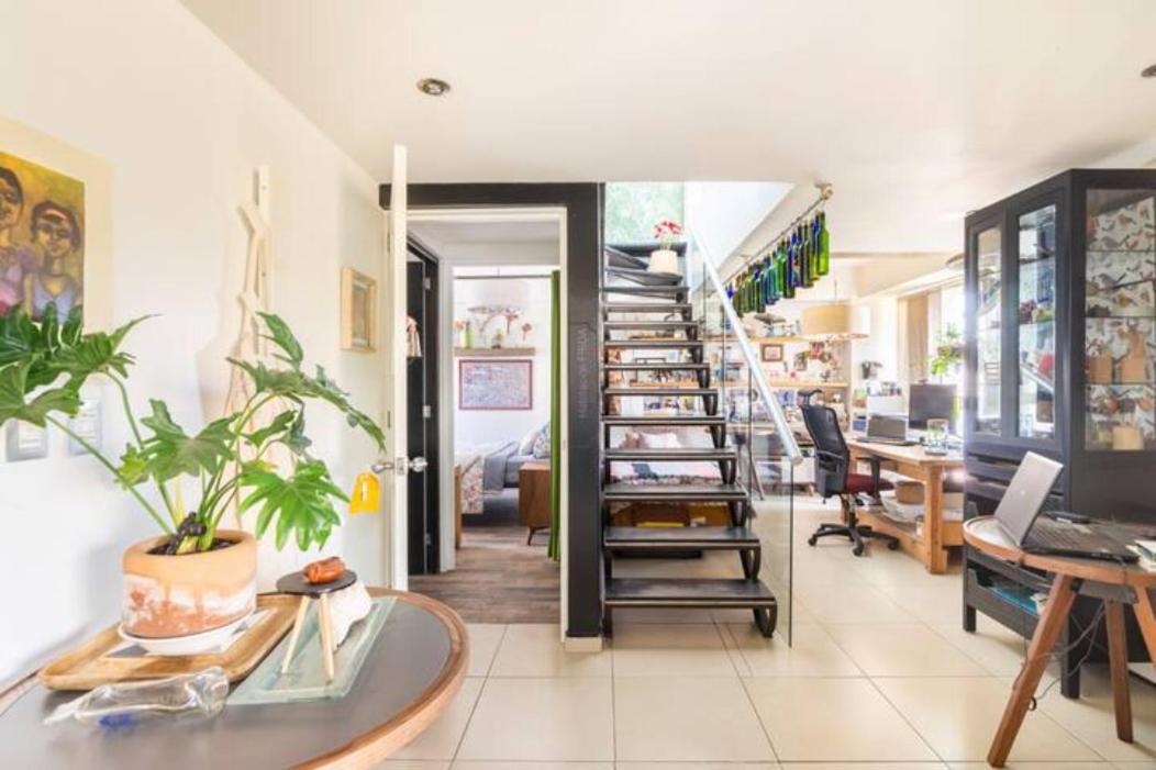 Pequena Frida - Design Cdmx - Areas Comunes Compartidas Homestay Mexico City
