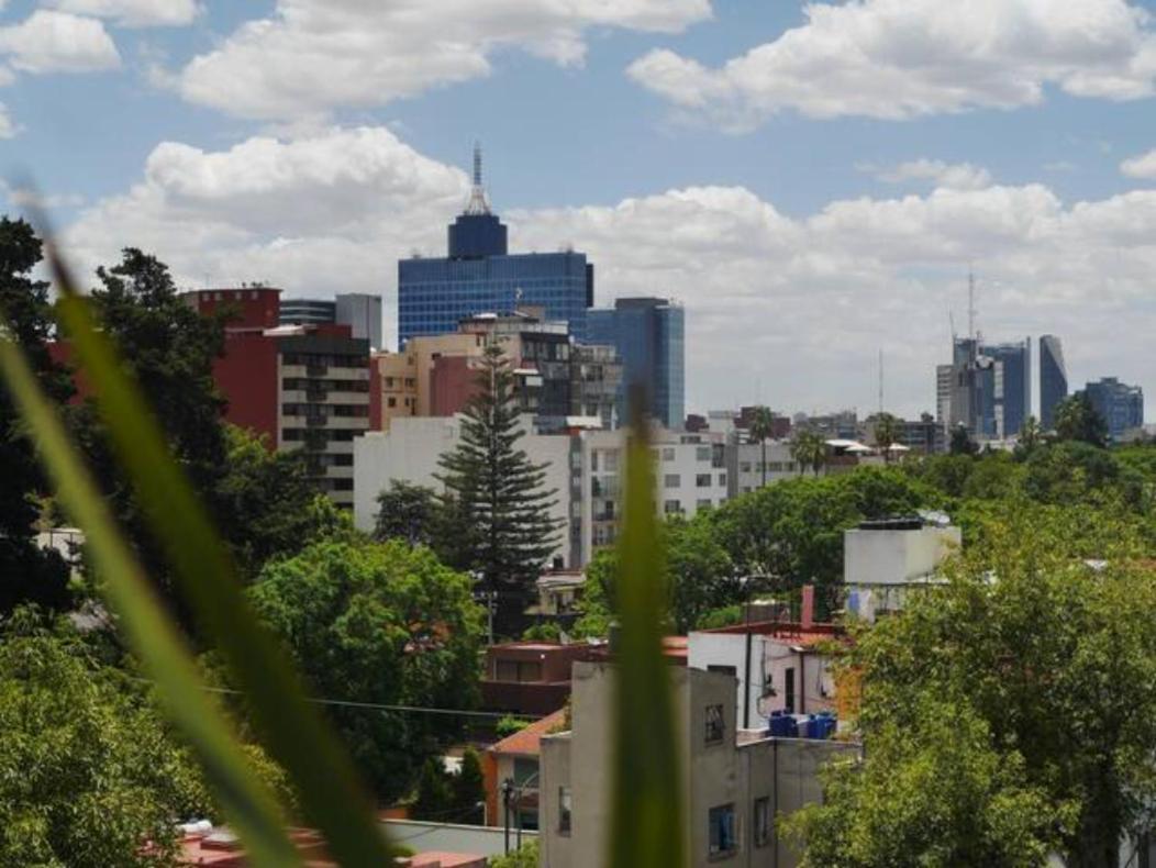 Pequena Frida - Design Cdmx - Areas Comunes Compartidas Mexico City