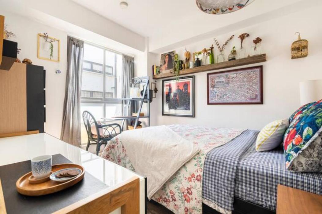 Pequena Frida - Design Cdmx - Areas Comunes Compartidas Homestay *