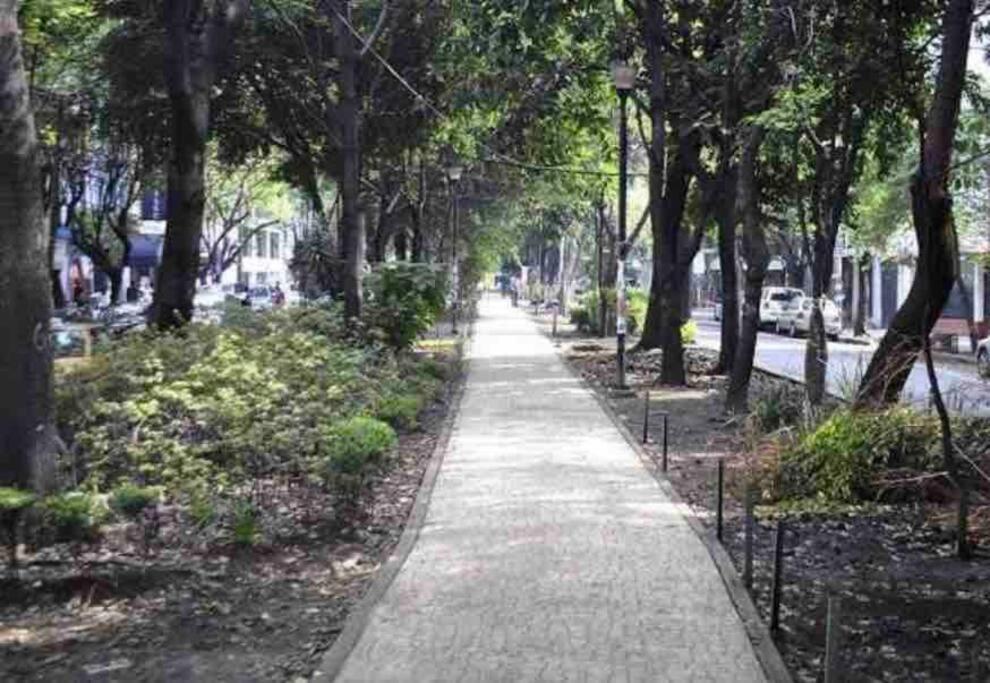 Amplio Apto Con Excelente Ubicacion En La Condesa