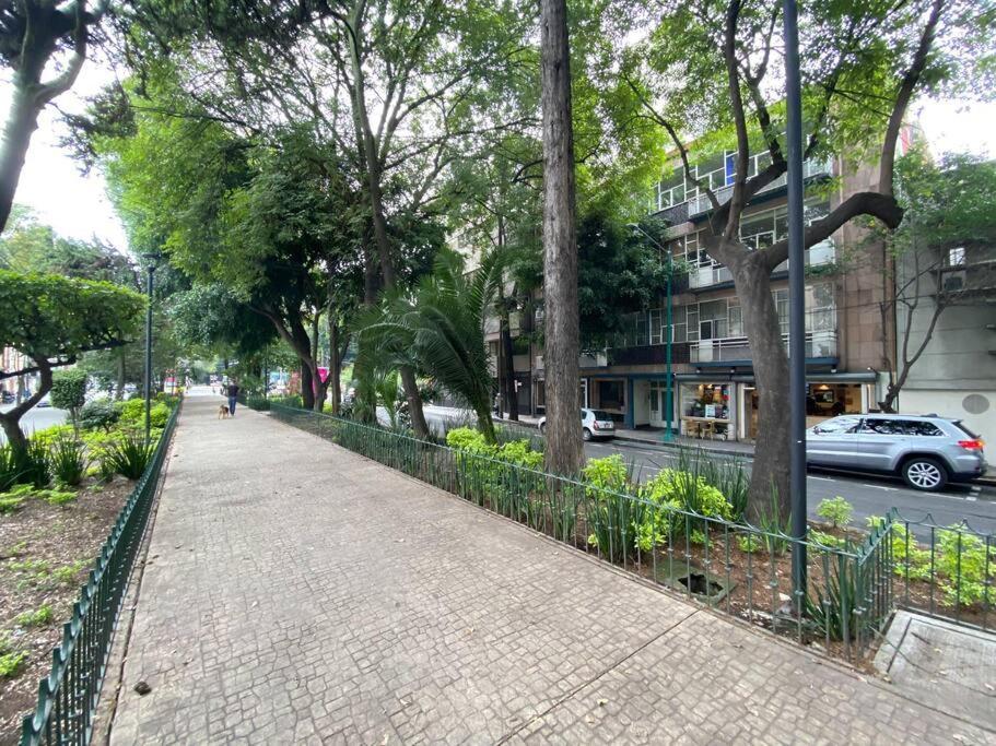 Apartment Amplio Apto Con Excelente Ubicacion En La Condesa *