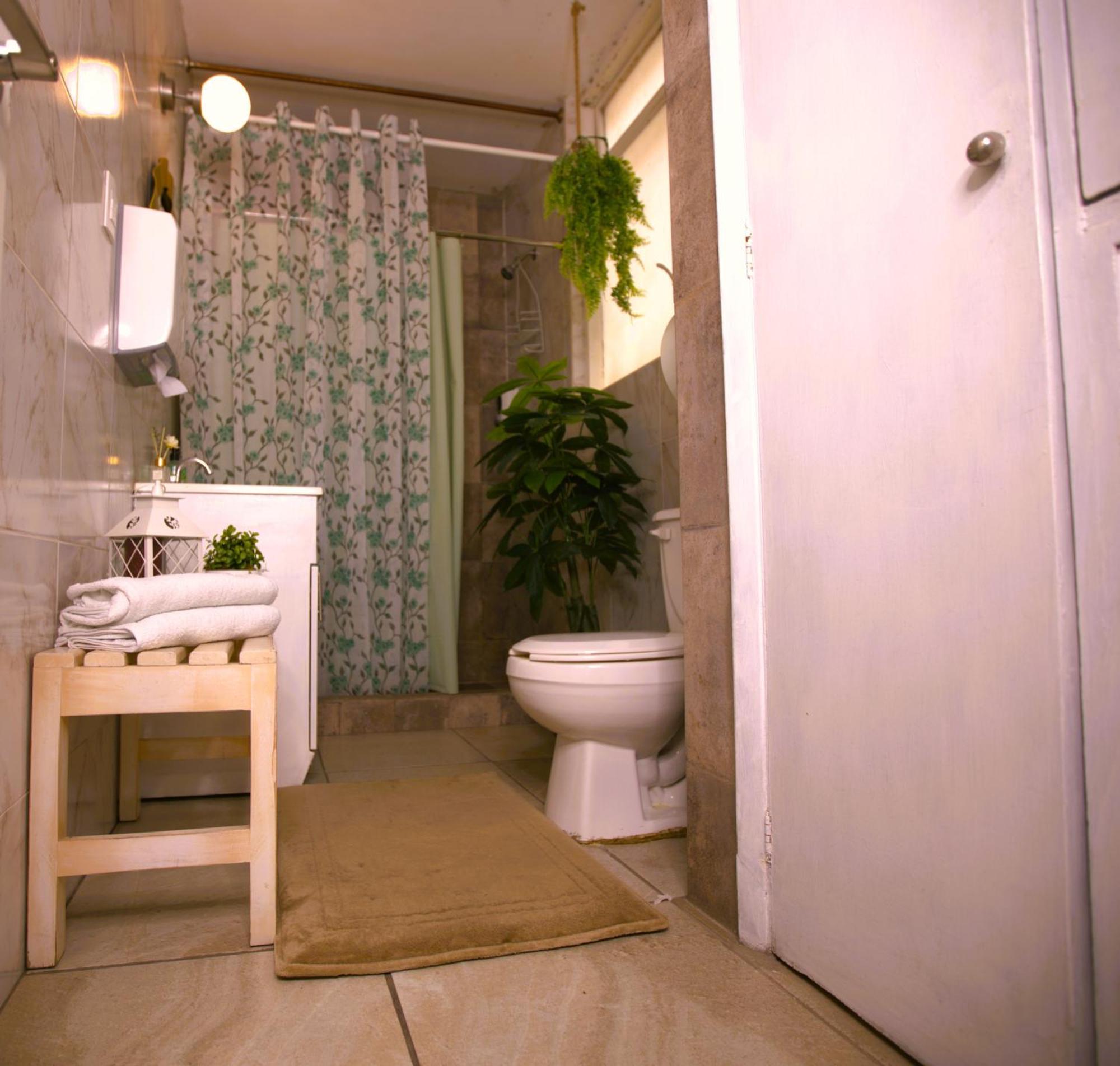 Guest house Morada Luna Condesa 7 *