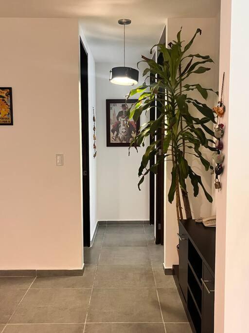 Beautiful And Renewed Apartment *