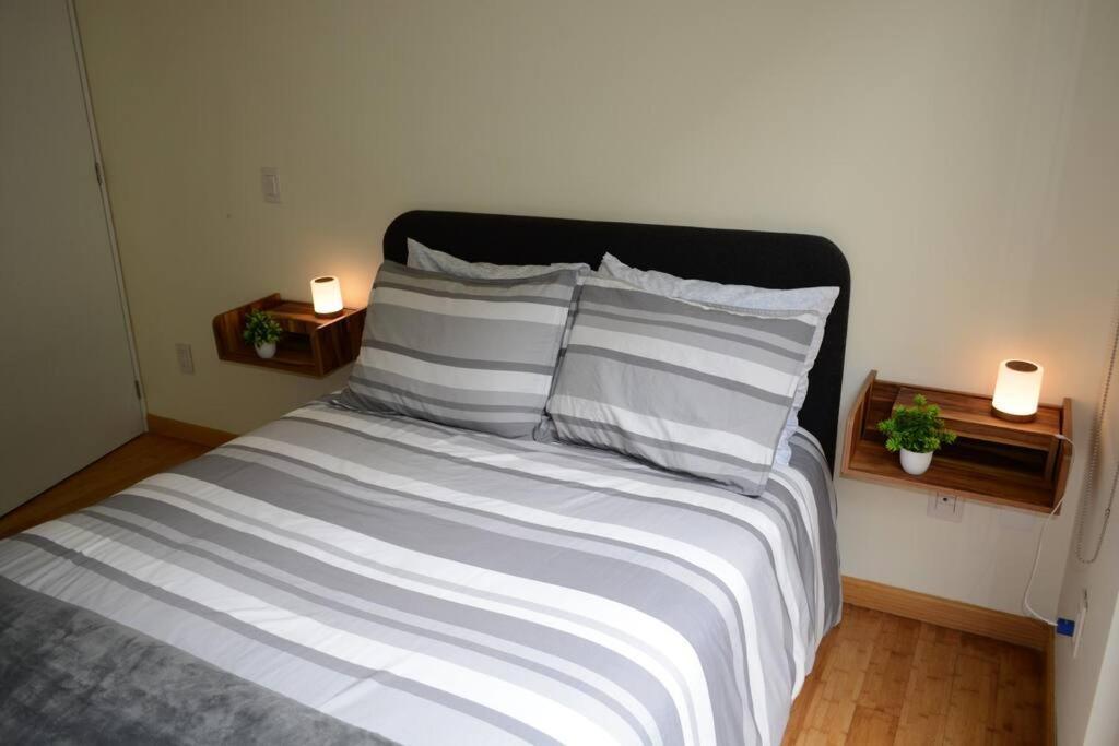 2br Haven In Napoles With Massive Terrace * Mexico City