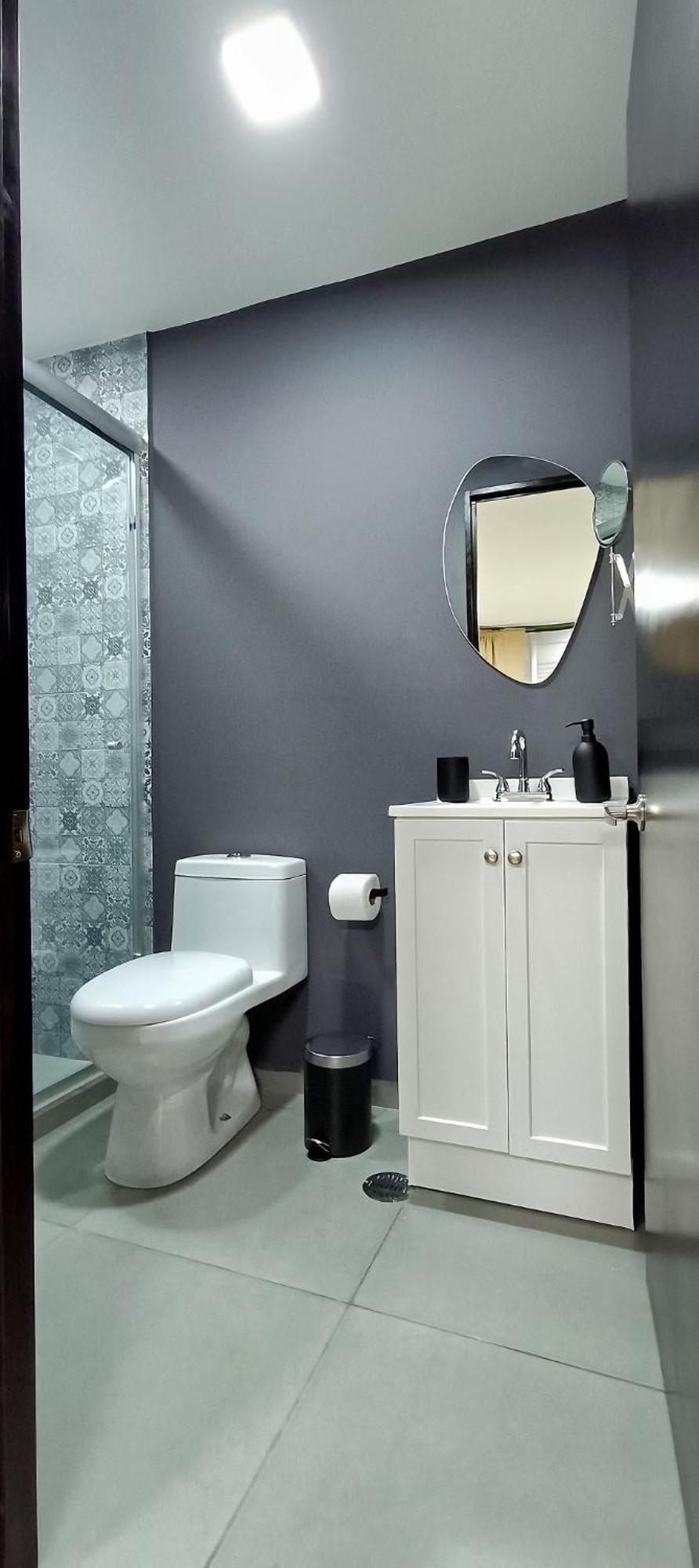Coliving Condesa Junior 2 Eucalipto Homestay Mexico City
