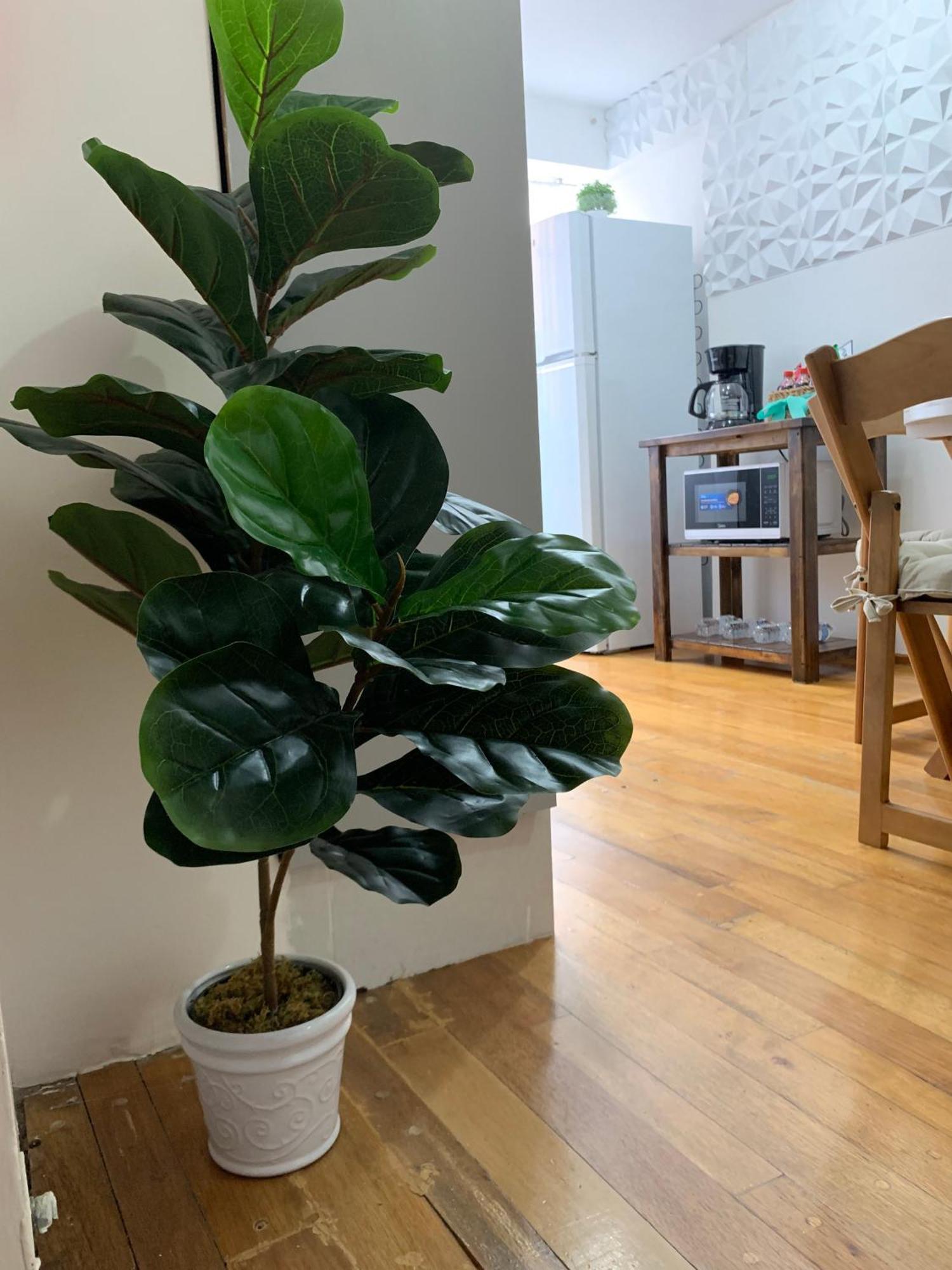 Apartment Quedate En El Centro Cdmx Cerca Alameda Y Roma