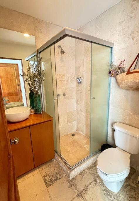 2 Bdrm Cozy With Private Roof In Cdmx Downtown Apartment *