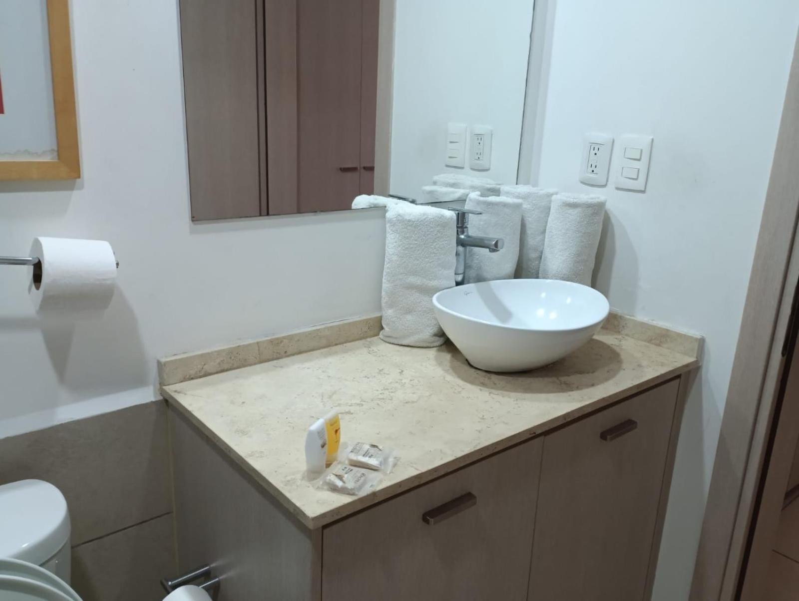 Carso Alameda Residenses Mexico City