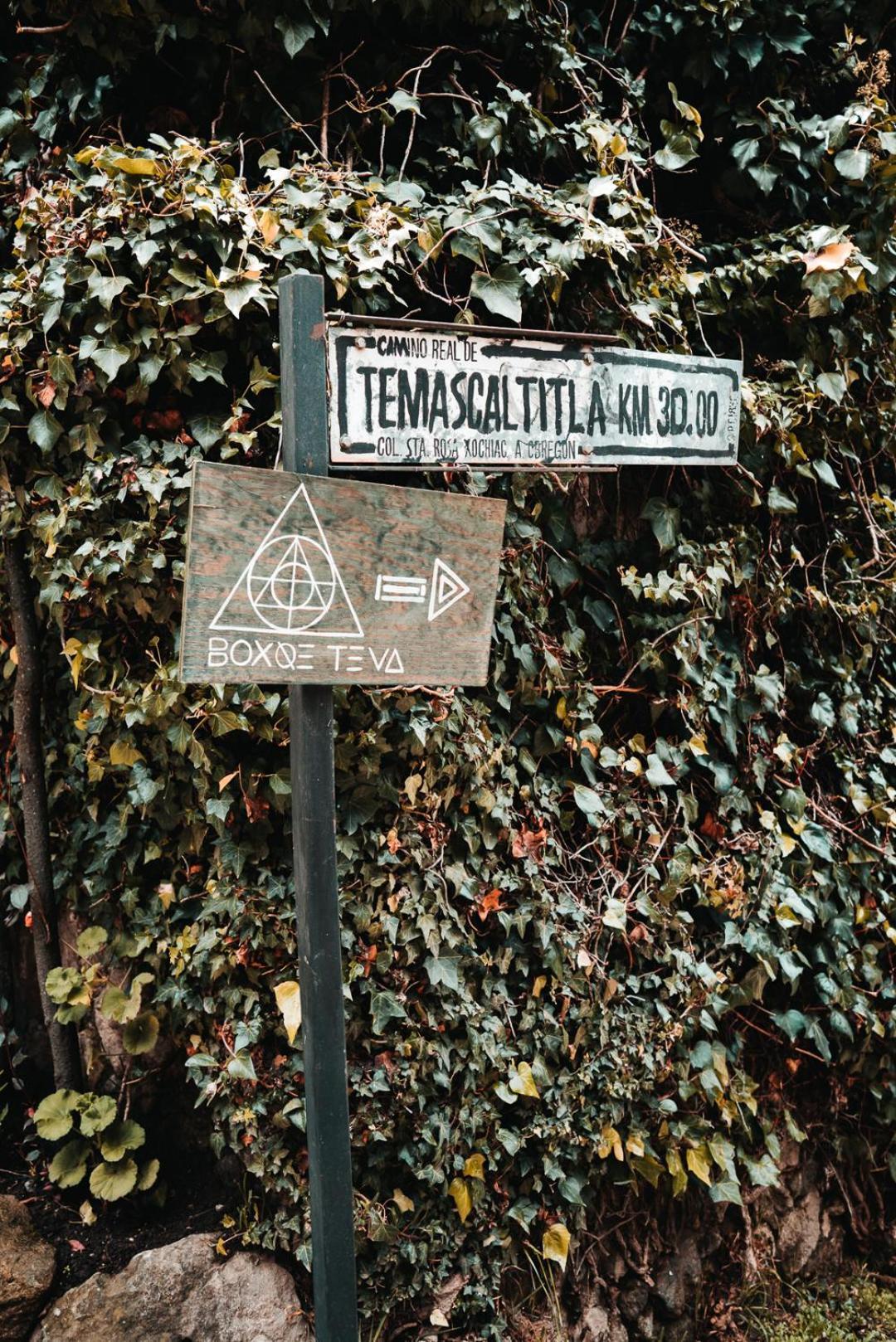Boxque Teva Resort