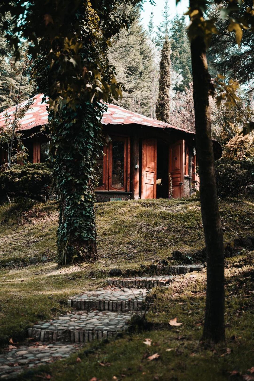 Boxque Teva Resort