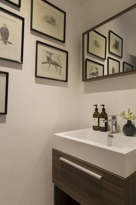 Casa Uruapan By Mrw Mexico City