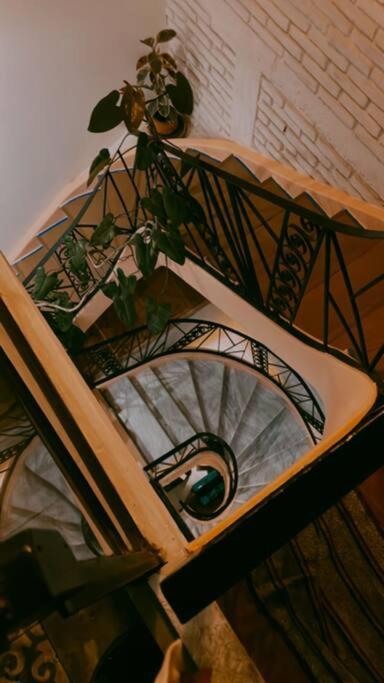 Holiday home Art Oasis In The Heart Of Roma Mexico City