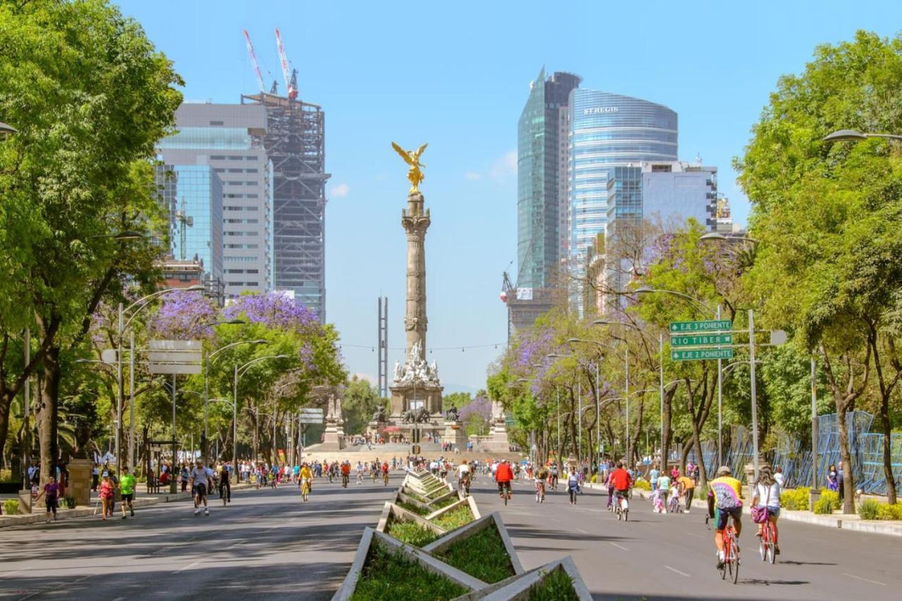Spacious Roma Norte With Balcony Hammock Mexico City