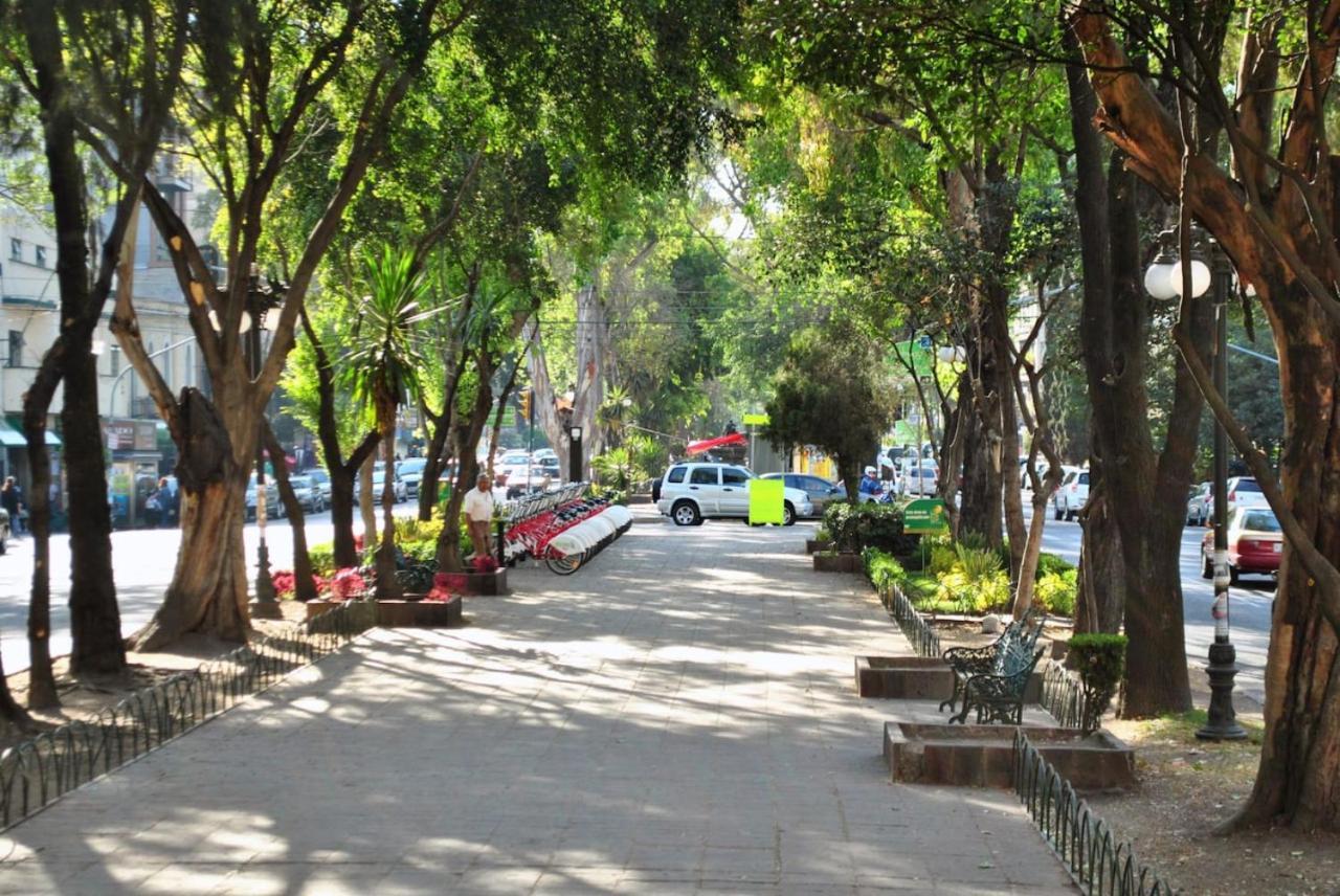 Apartment Spacious Roma Norte With Balcony Hammock Mexico City