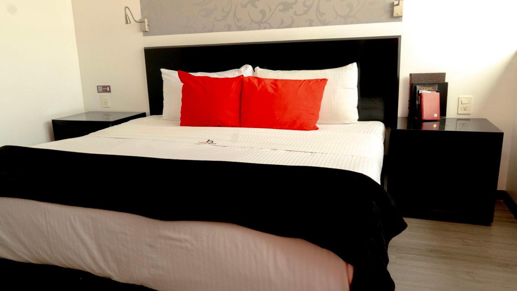 Hotel Black Boutique México DF