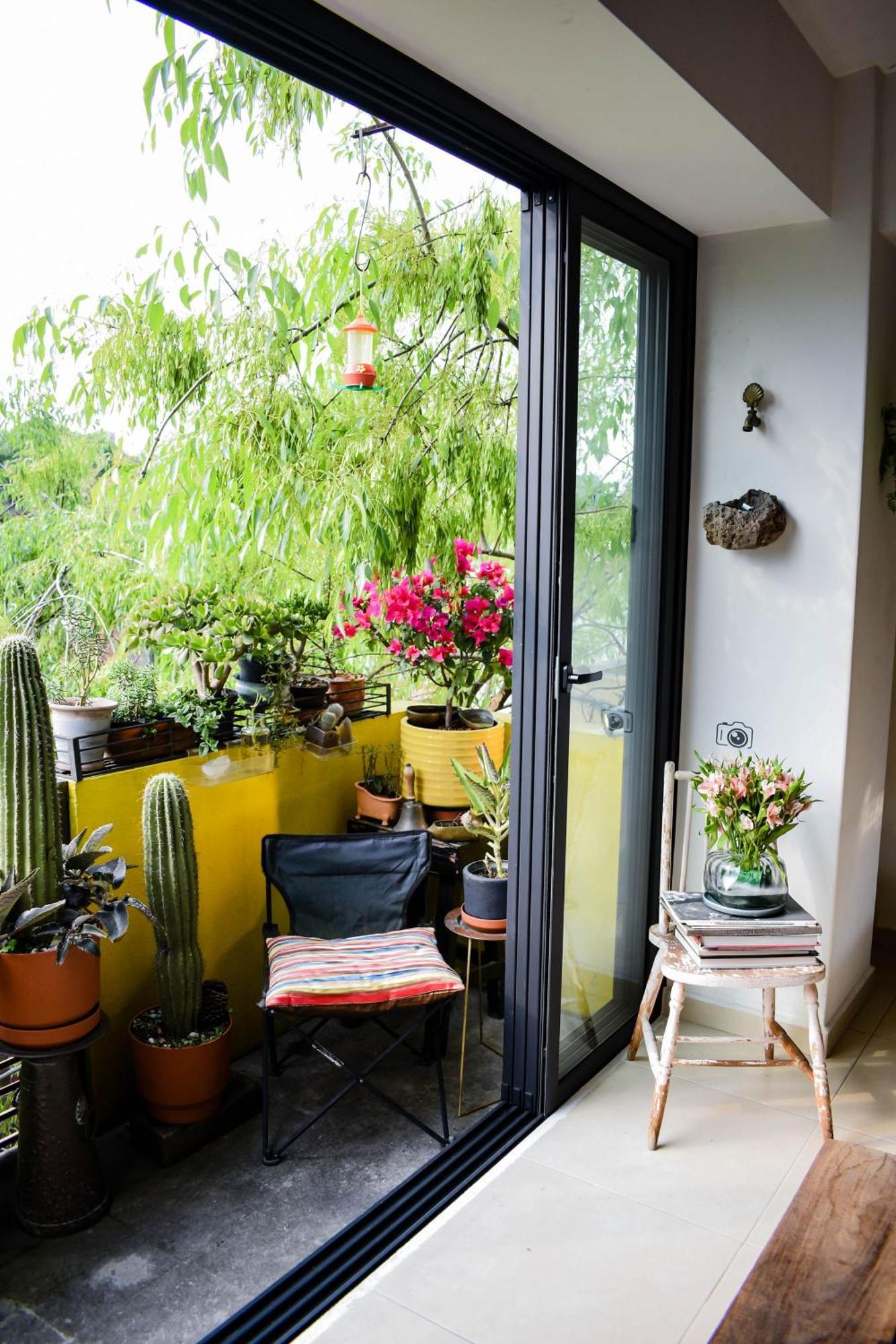 Pequena Frida - Design Cdmx - Areas Comunes Compartidas Homestay