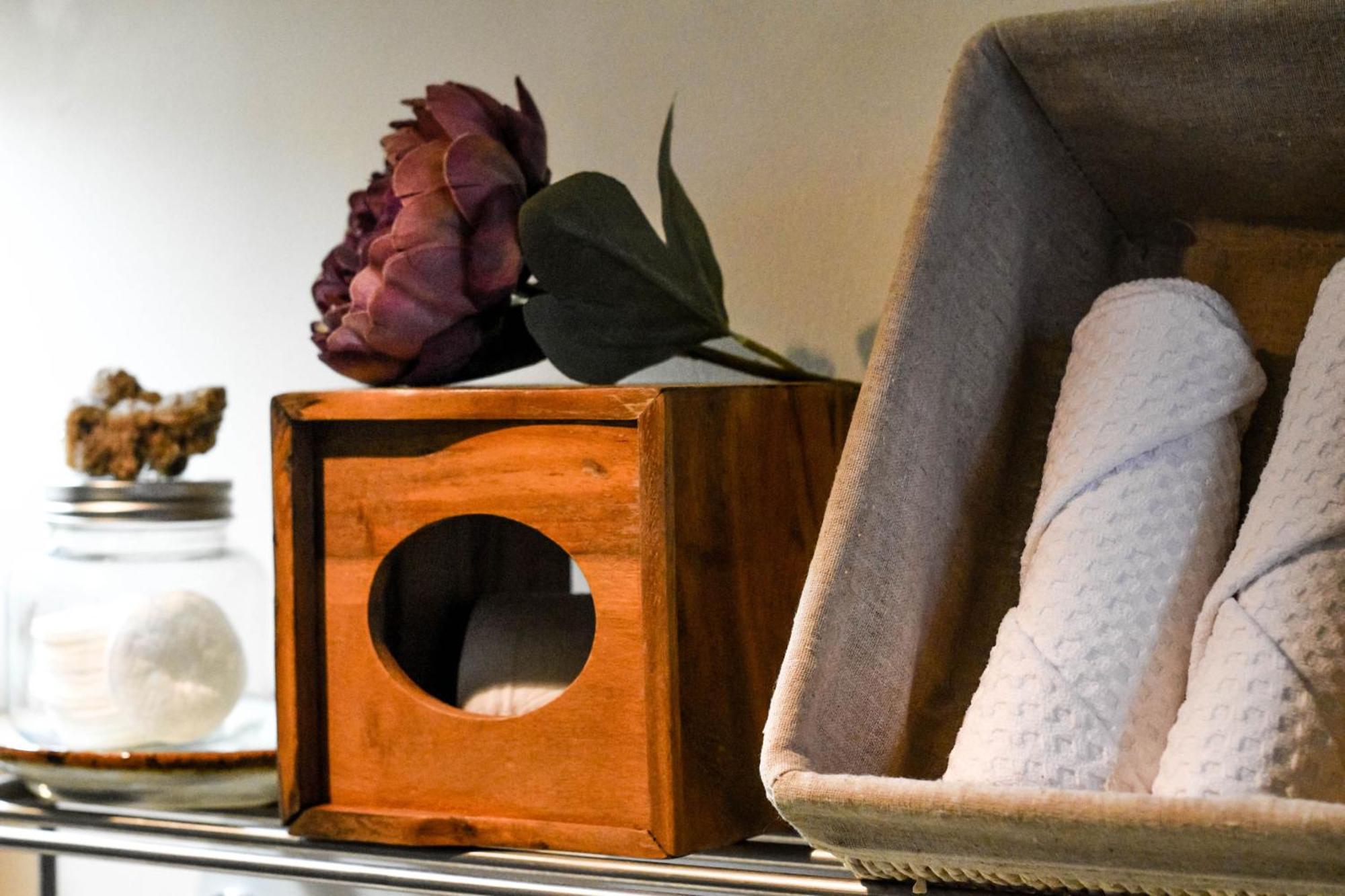 Pequena Frida - Design Cdmx - Areas Comunes Compartidas Homestay Mexico City