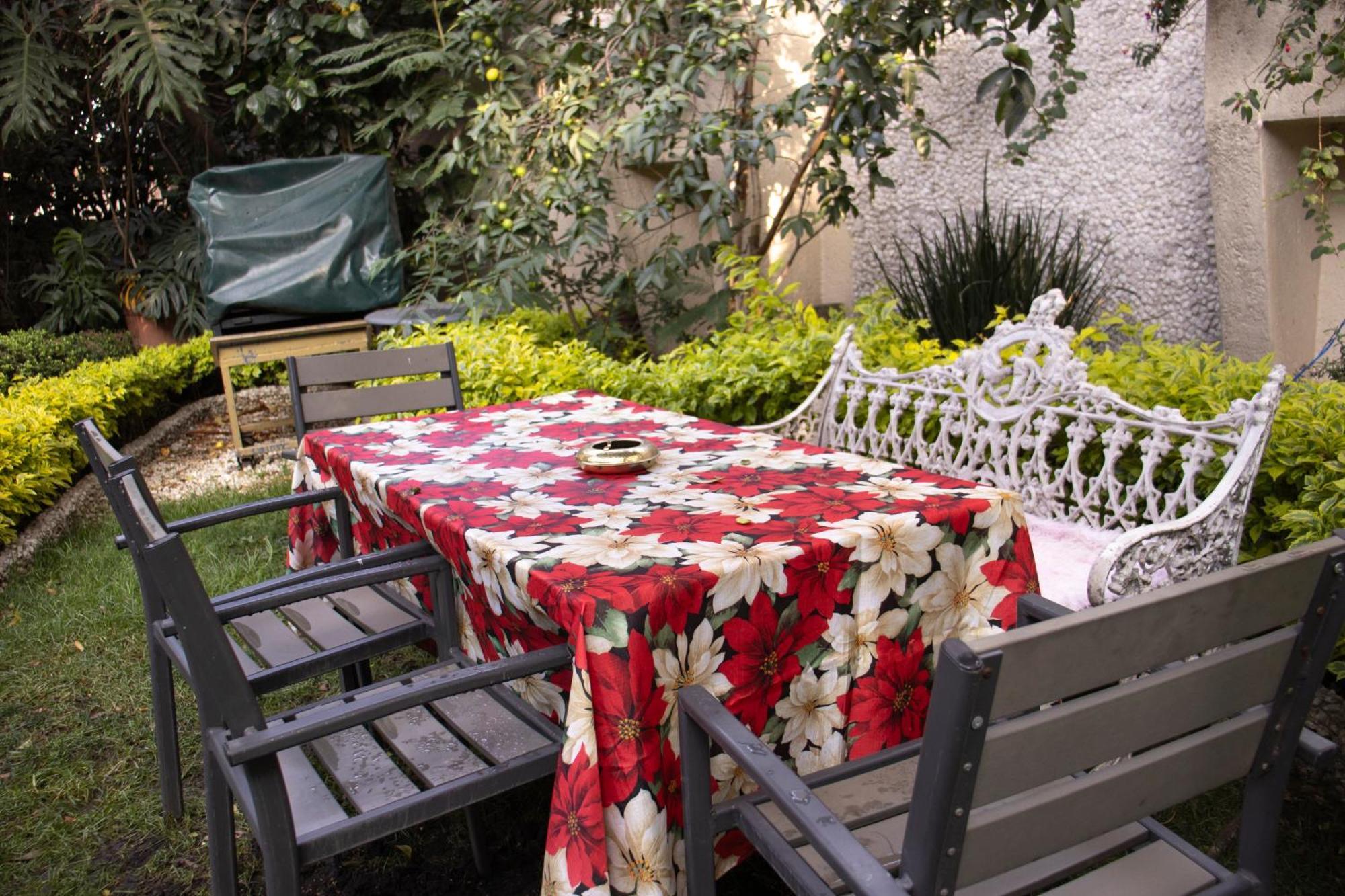 El Domo Jardin En Coyoacan Apartment Mexico City