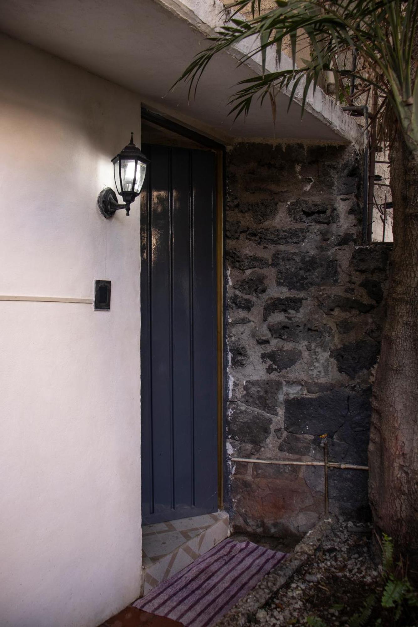 El Domo Jardin En Coyoacan * Mexico City