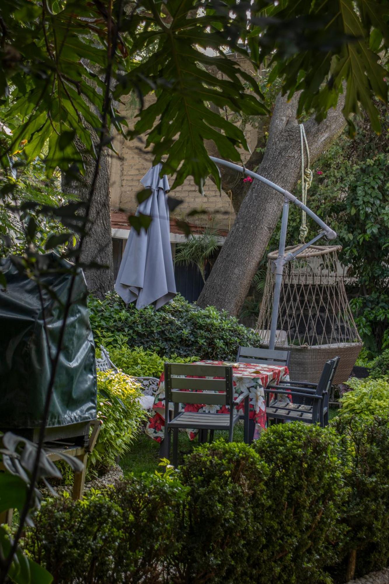 El Domo Jardin En Coyoacan *