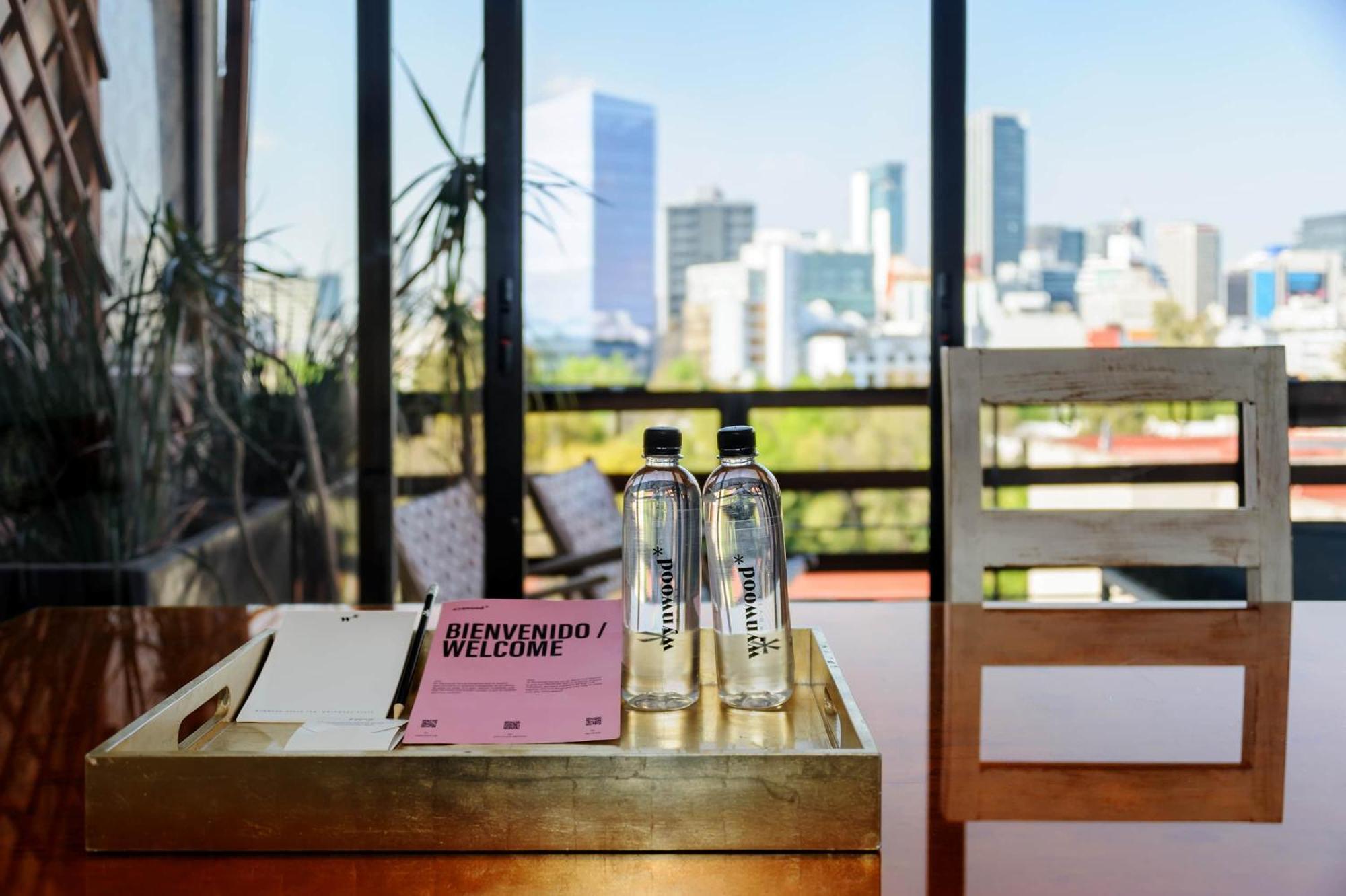 Impressive 2 Bedroom With View Apartment Mexico City