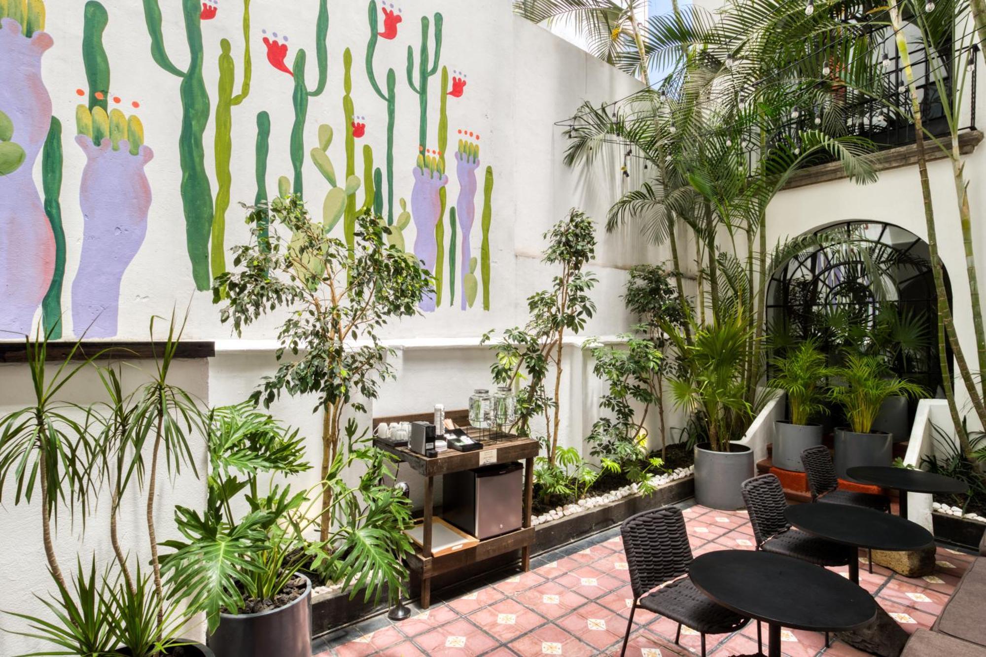 Santa Casa By Tasman Mexico City