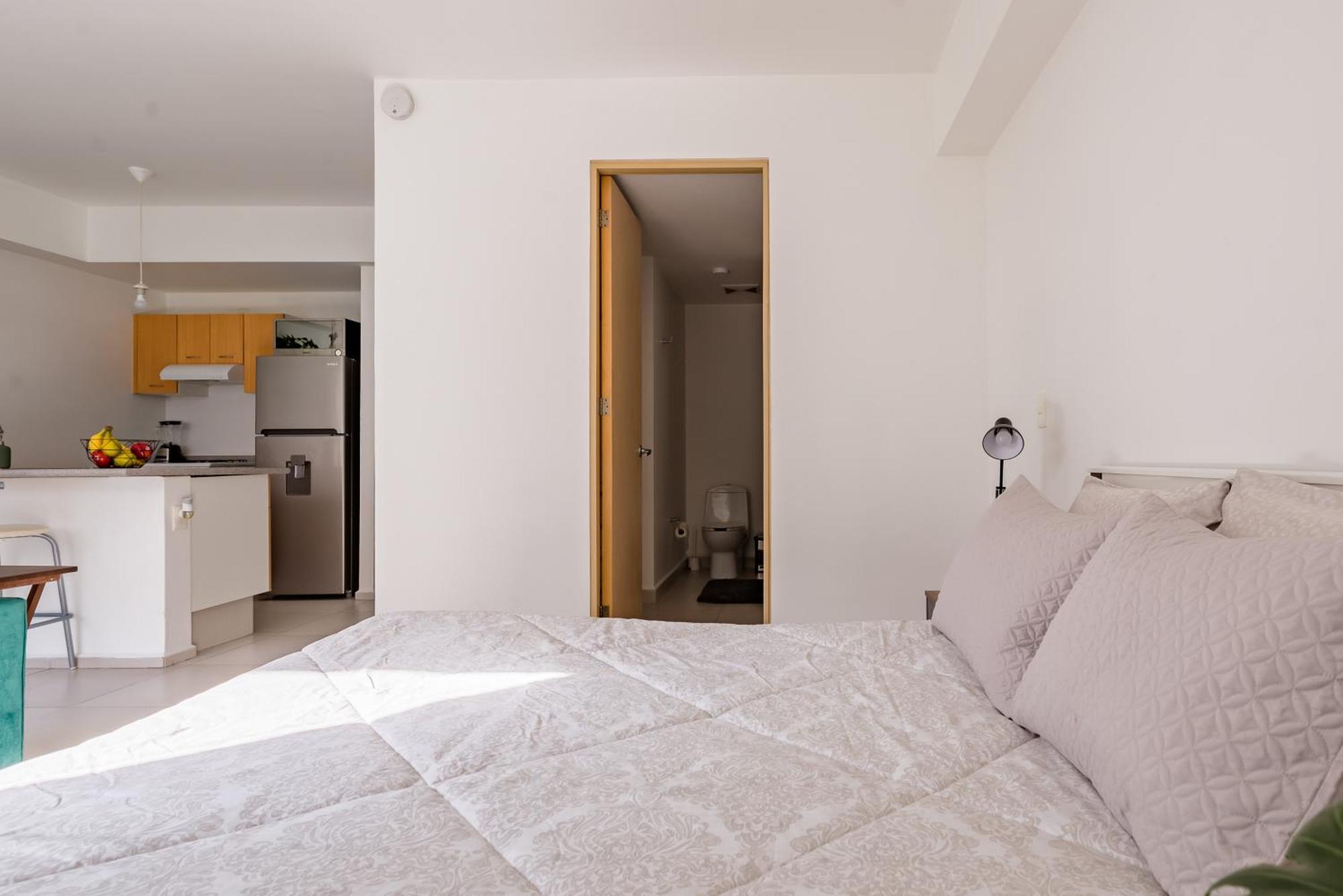 Epj06 - 1br - 1bth Apartment Mexico City