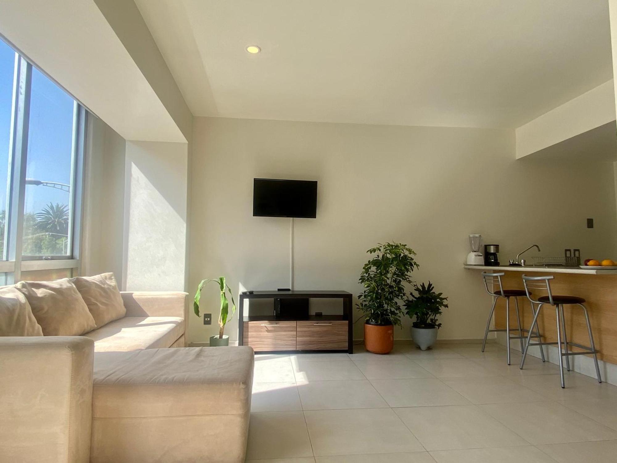 B104 - 1br - 1bth * Mexico City