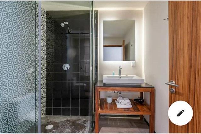 Loft Con Terraza Polanco - Pino Apartamento