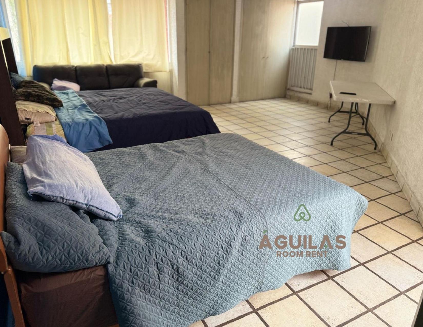 Homestay Aguilas Rent Mexico City