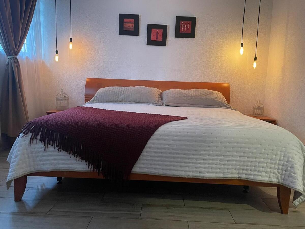 Lindo Departamento En Condesa 1 Morada Luna Mexico City