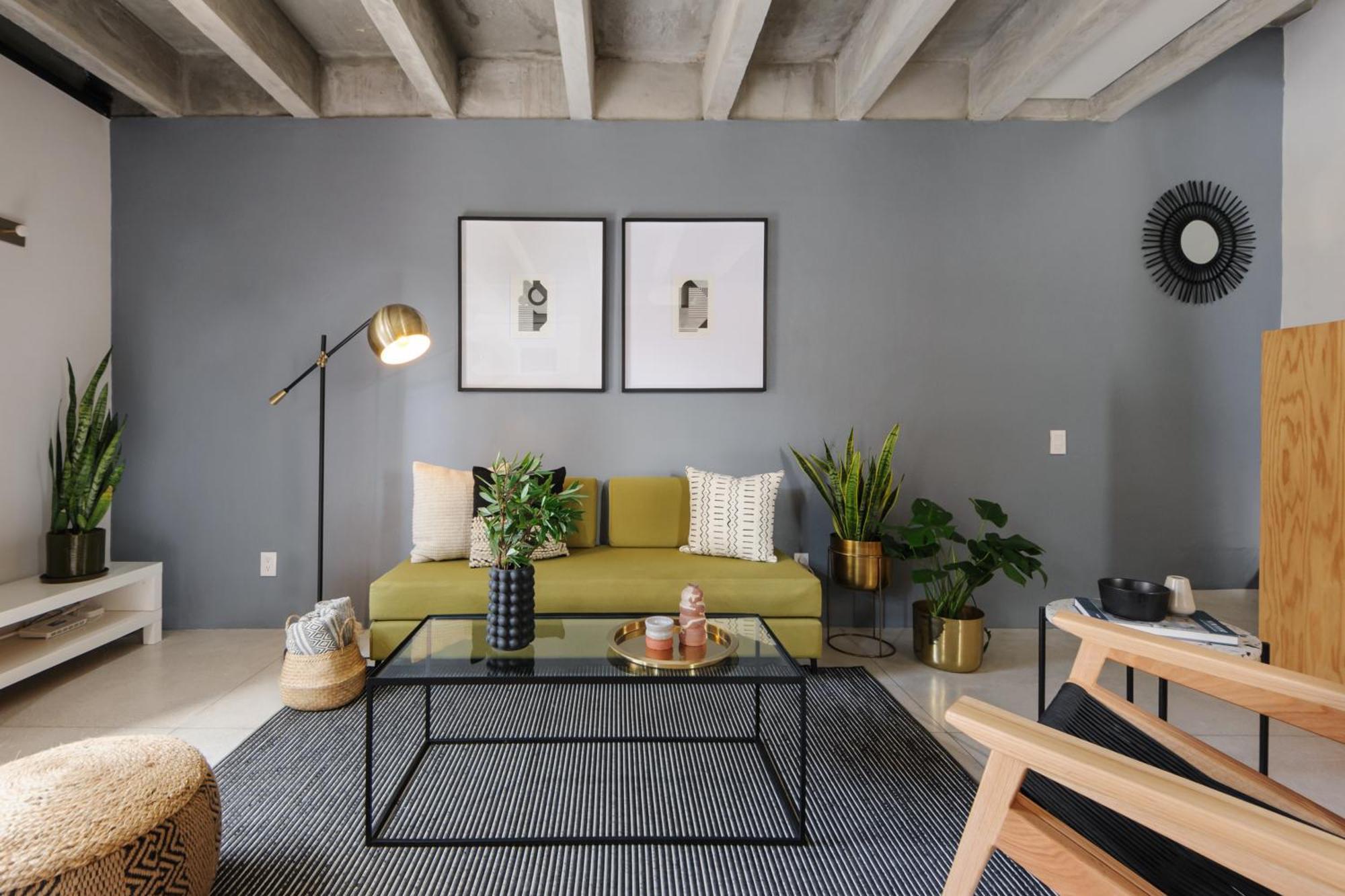 Apartment New! Historic Colonial Duplex In Downtown Mexico City