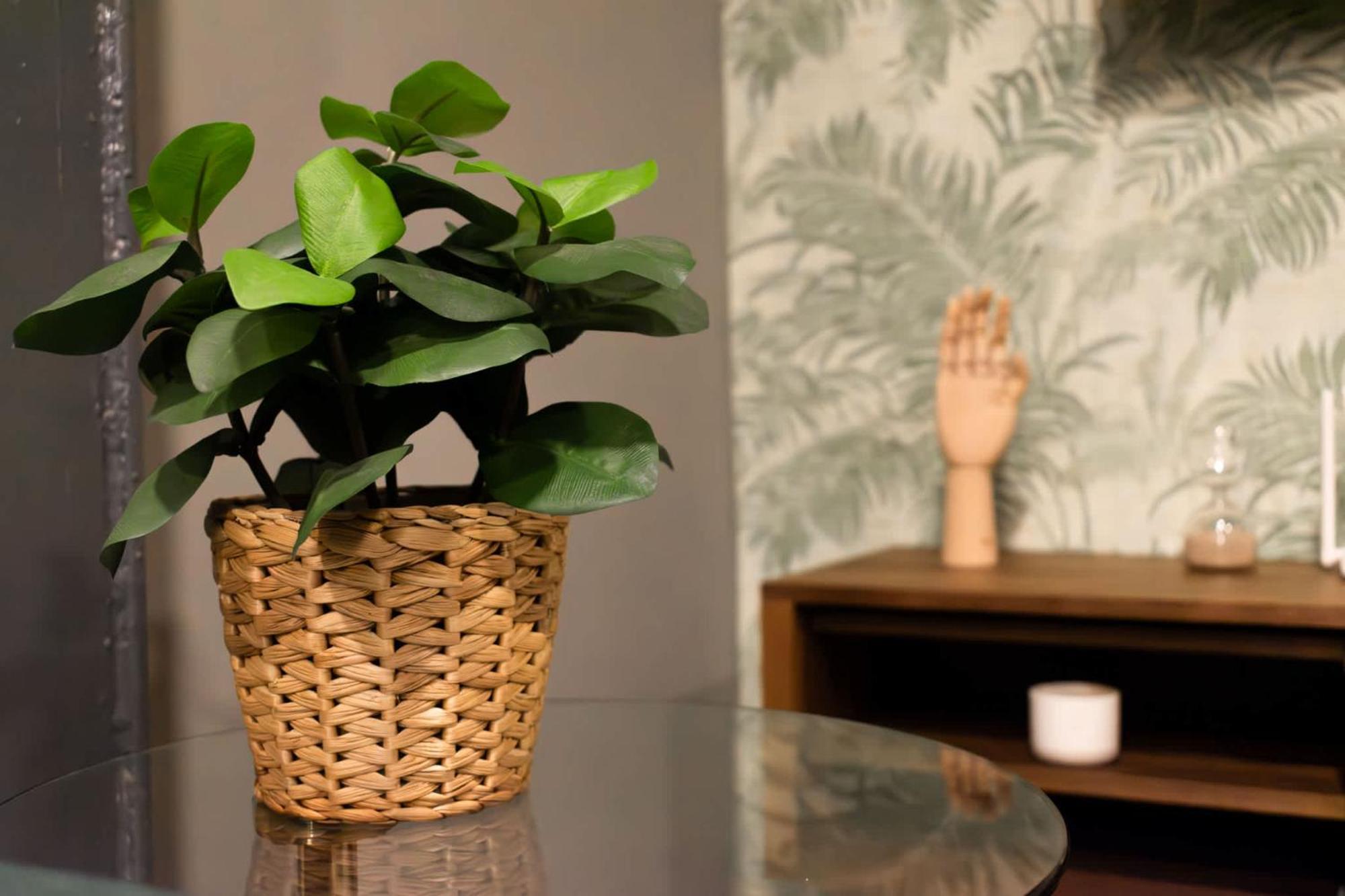 Espectacular Loft Con Terraza En Condesa Inn *