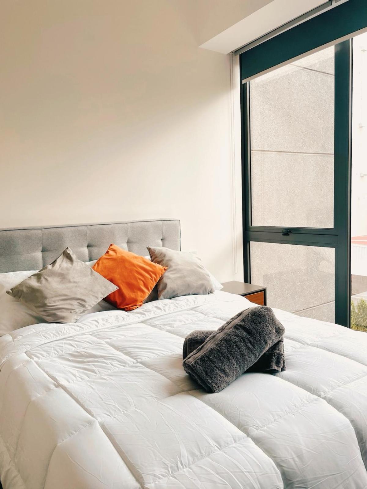 Sunlit Prime Location In Polanco Fast Wifi Apartment