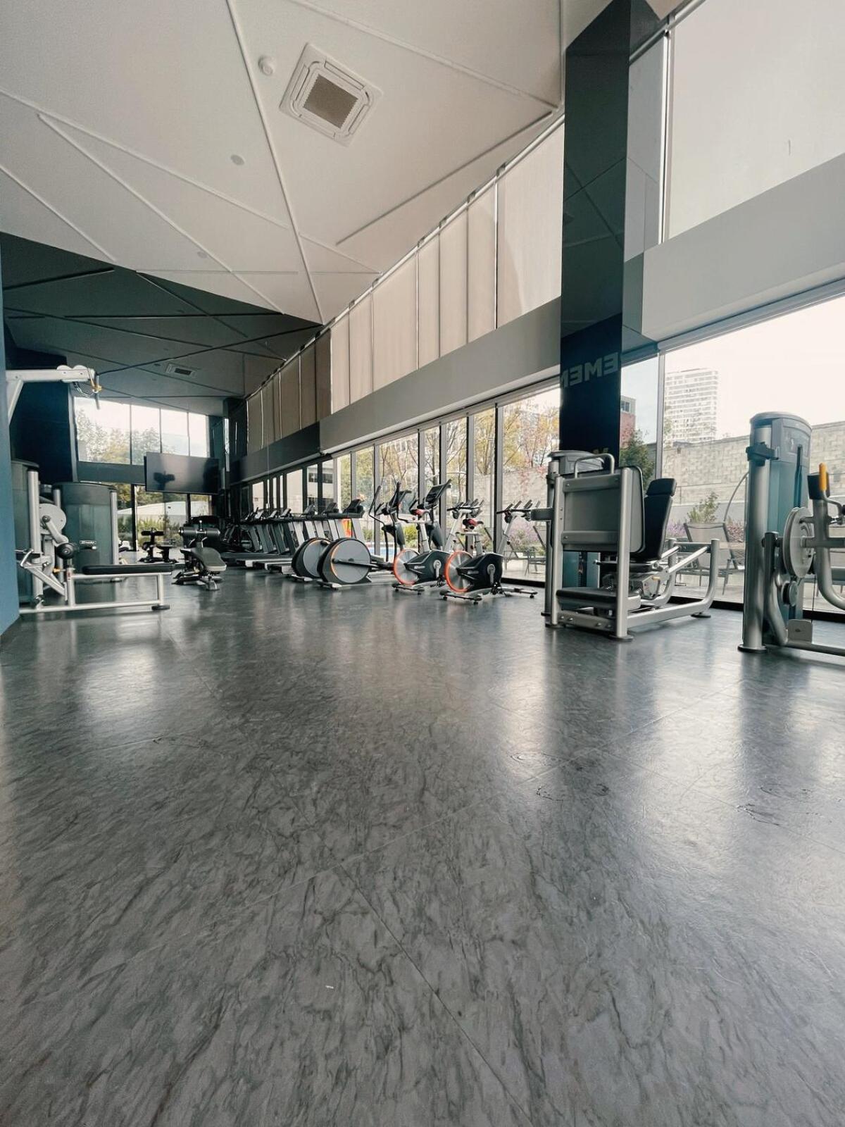 Sunlit Prime Location In Polanco Fast Wifi * Mexico City