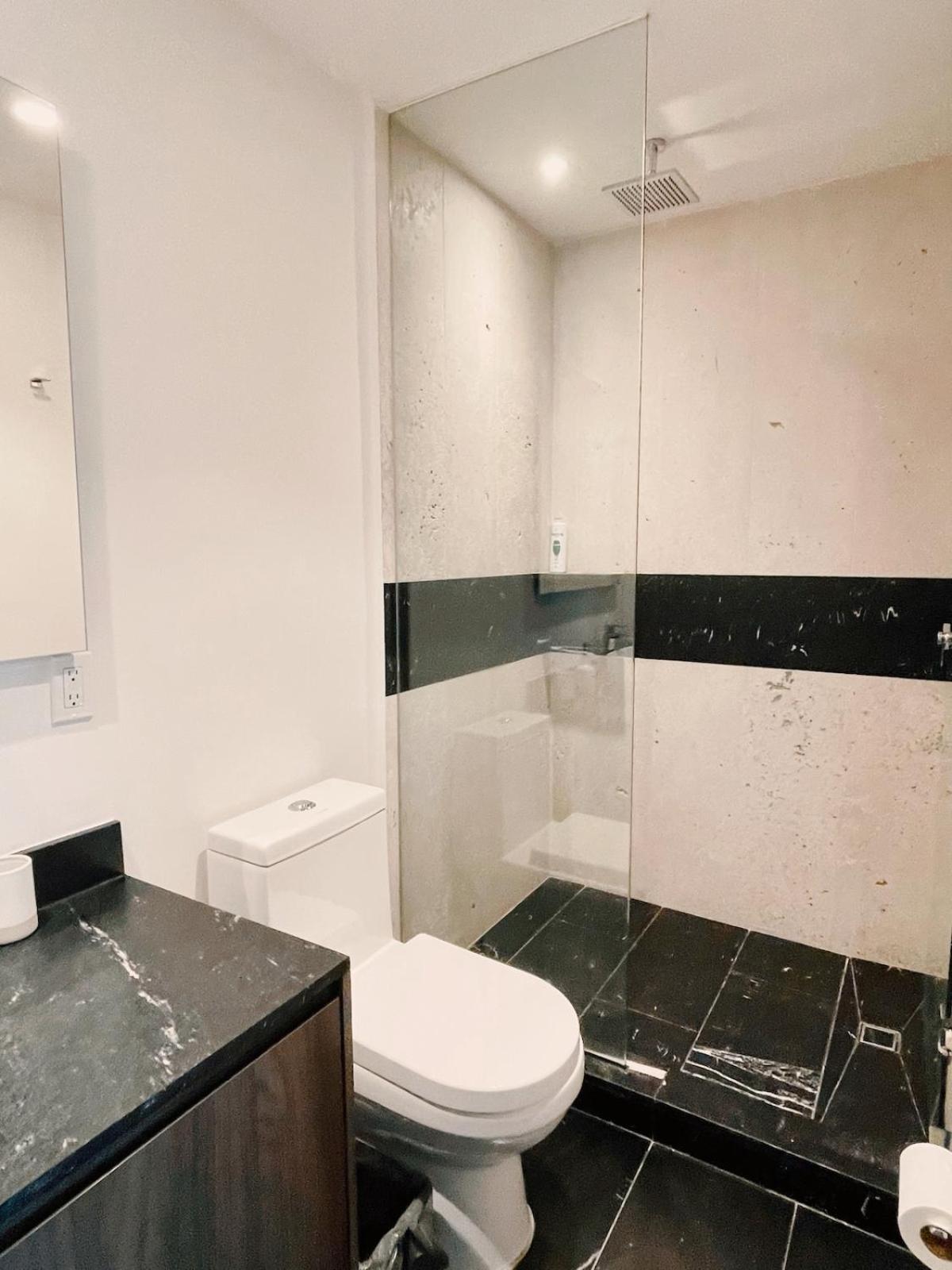 Apartment Sunlit Prime Location In Polanco Fast Wifi Mexico City